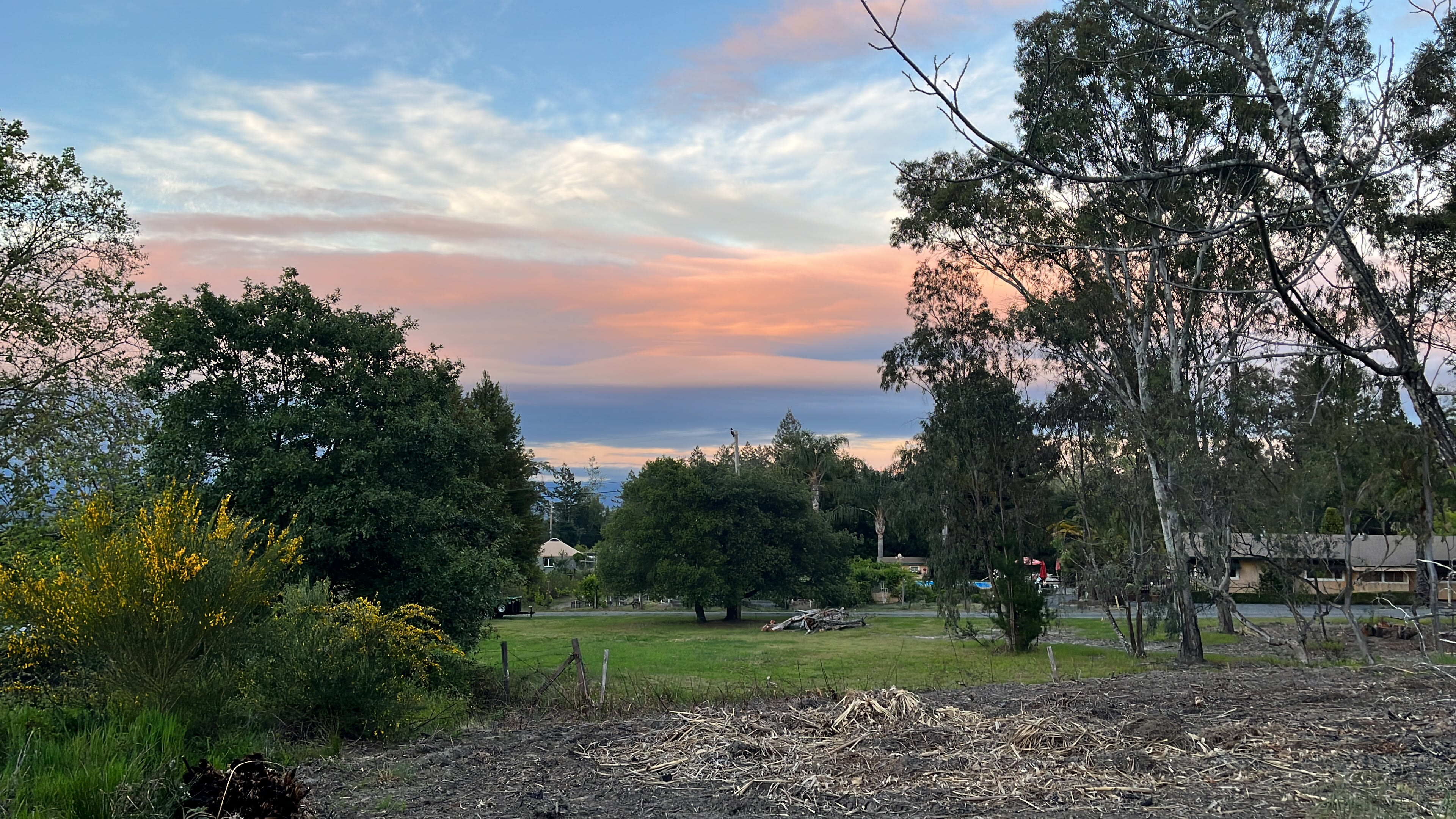 Northeastern view from camp area