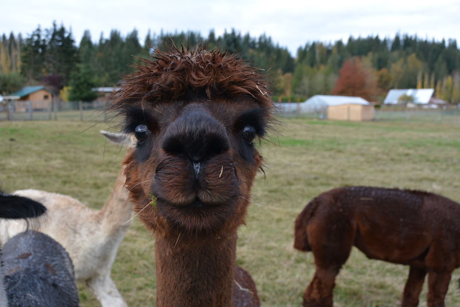 Ms. Starla loves the camera.