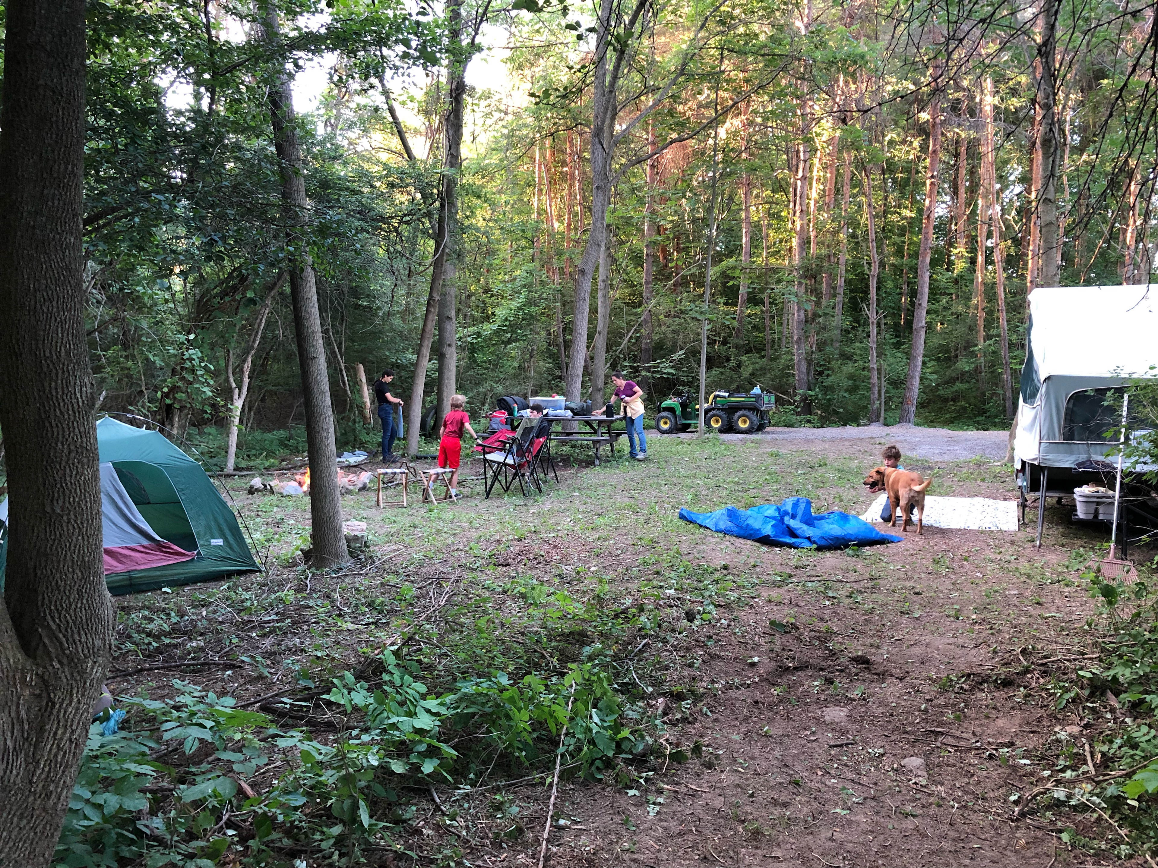 White Creek Wood