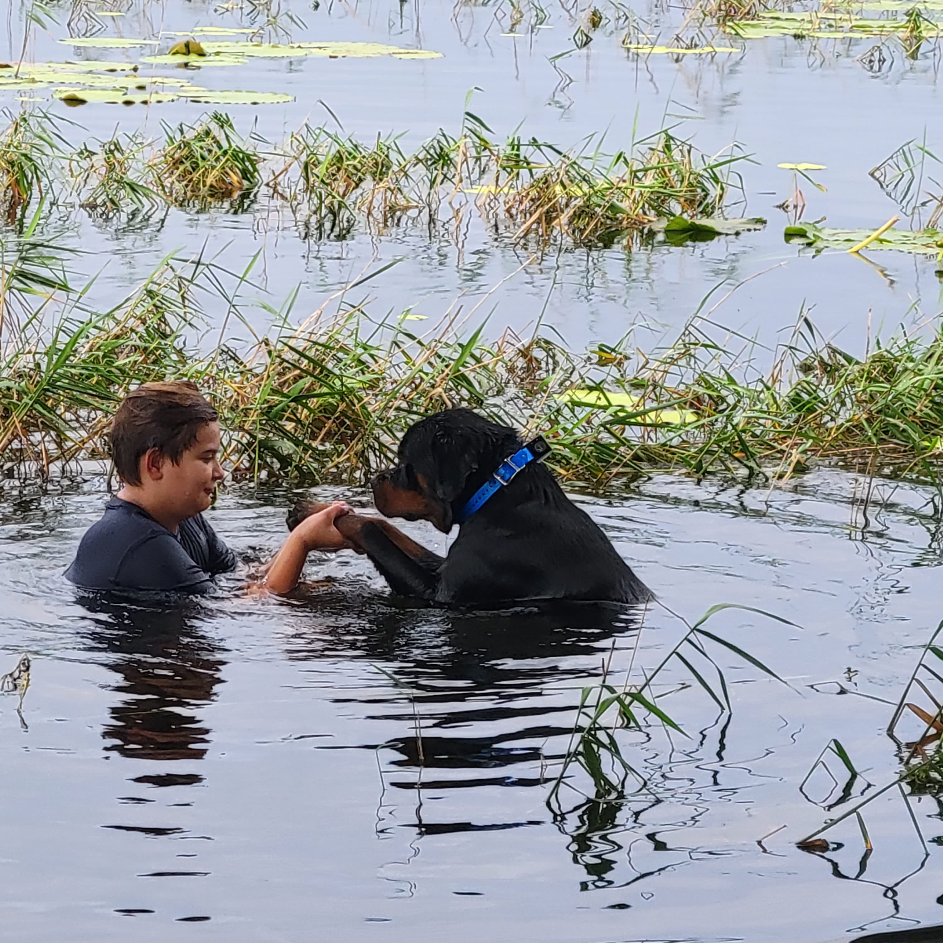 Smith Lake Oasis w Private Dock