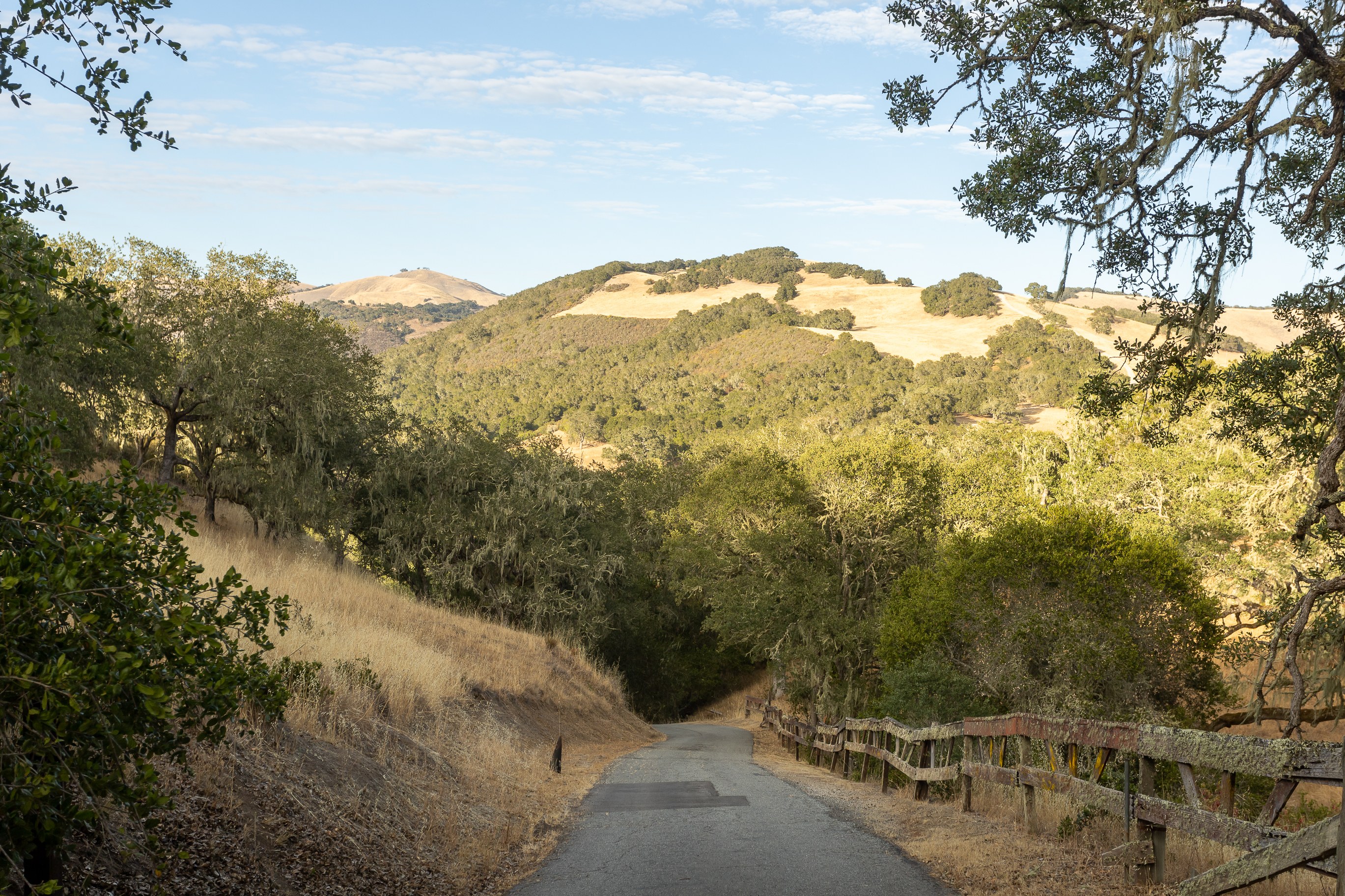 Camp Carmel Valley - Glamping