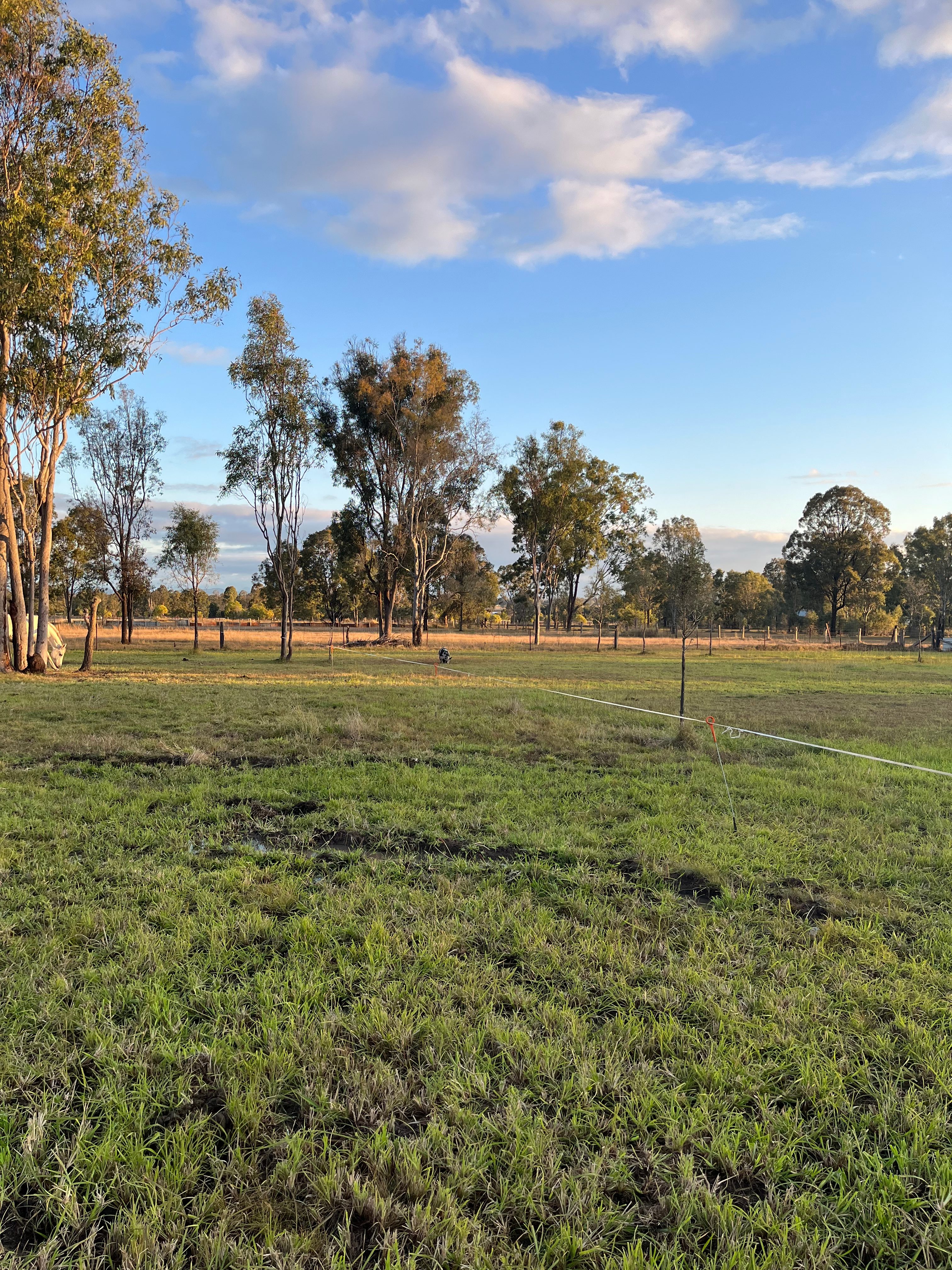 Coominya Hobby Farm