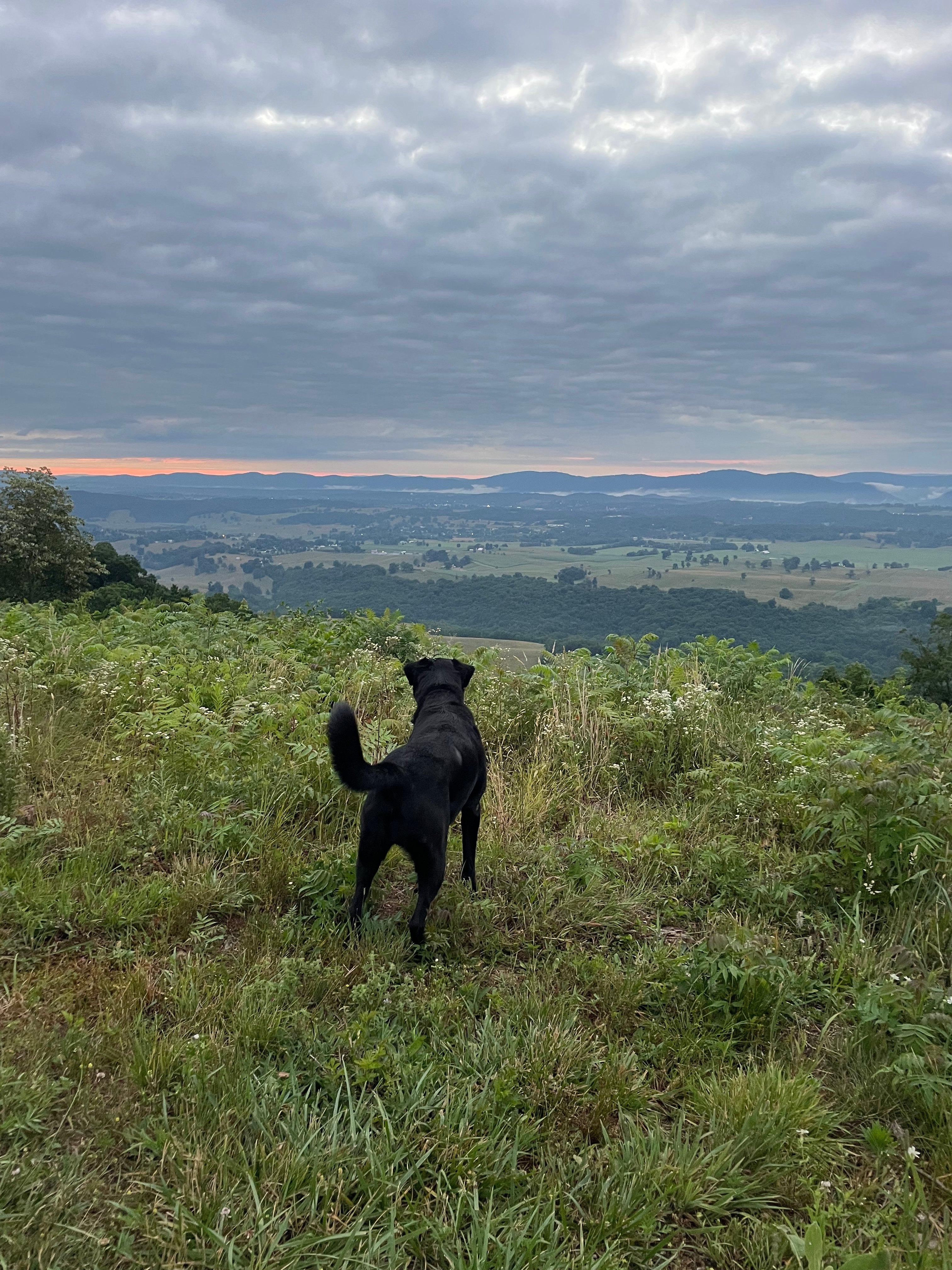 Overlook, camping site