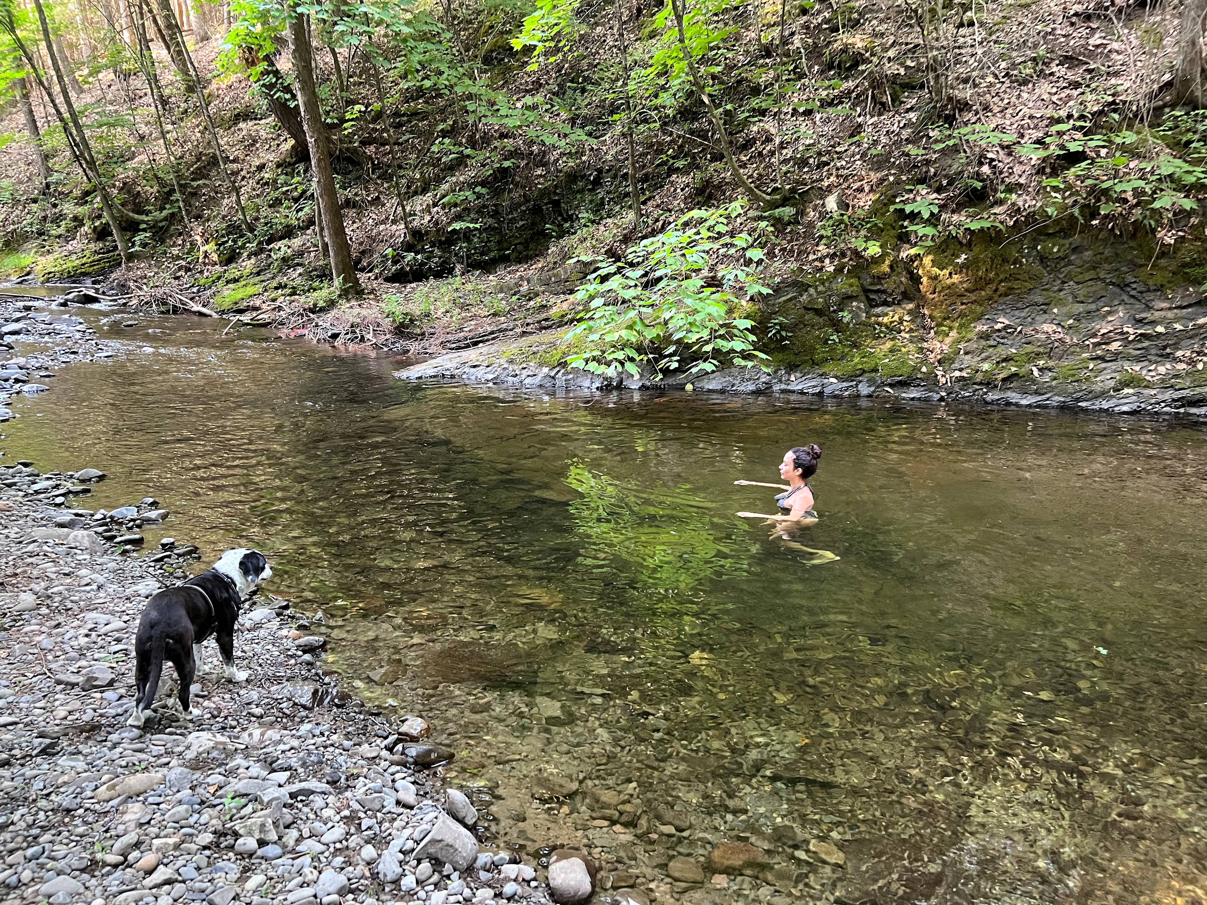 Tiny Cabin on 45 Acres With Stream