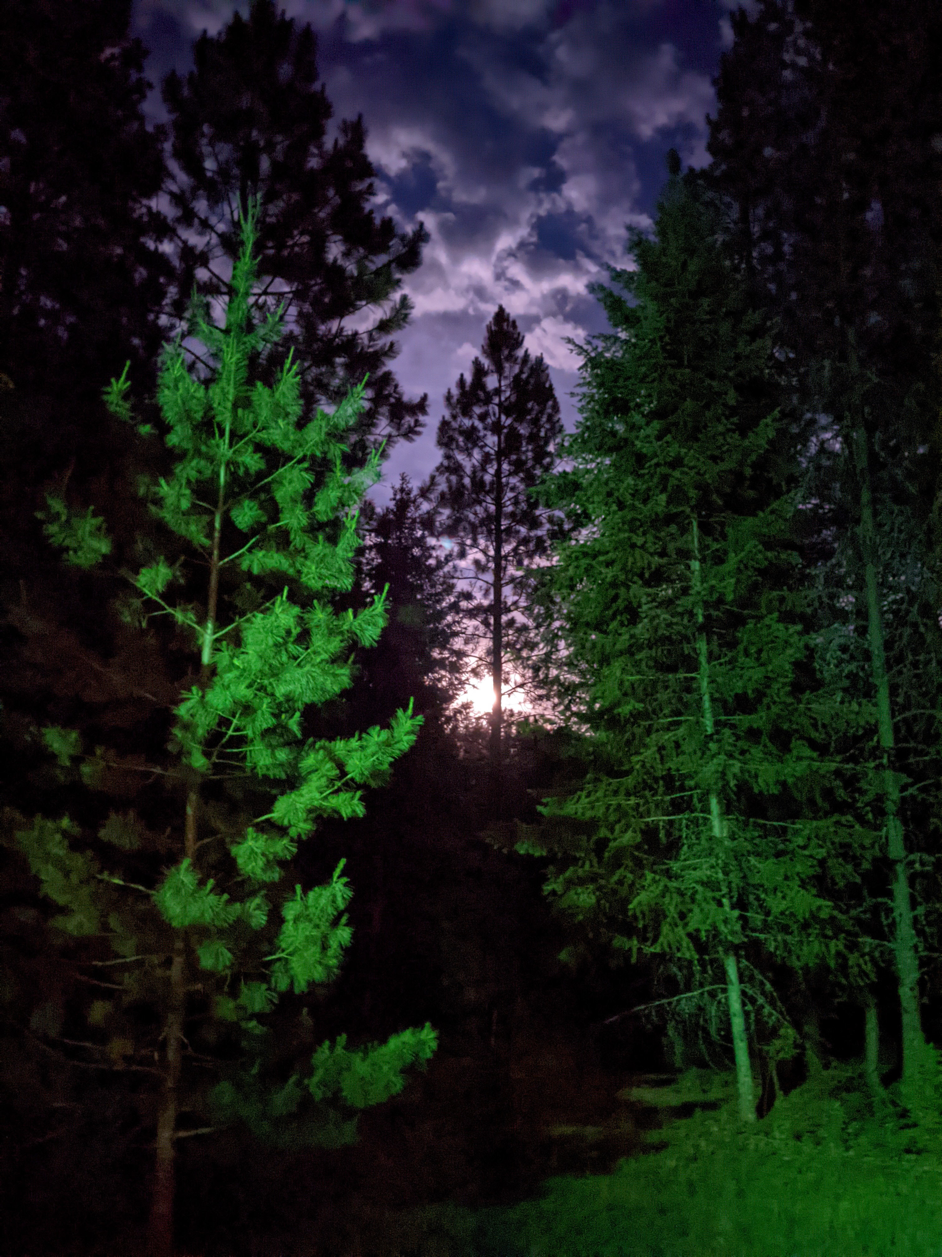 Night shot on property