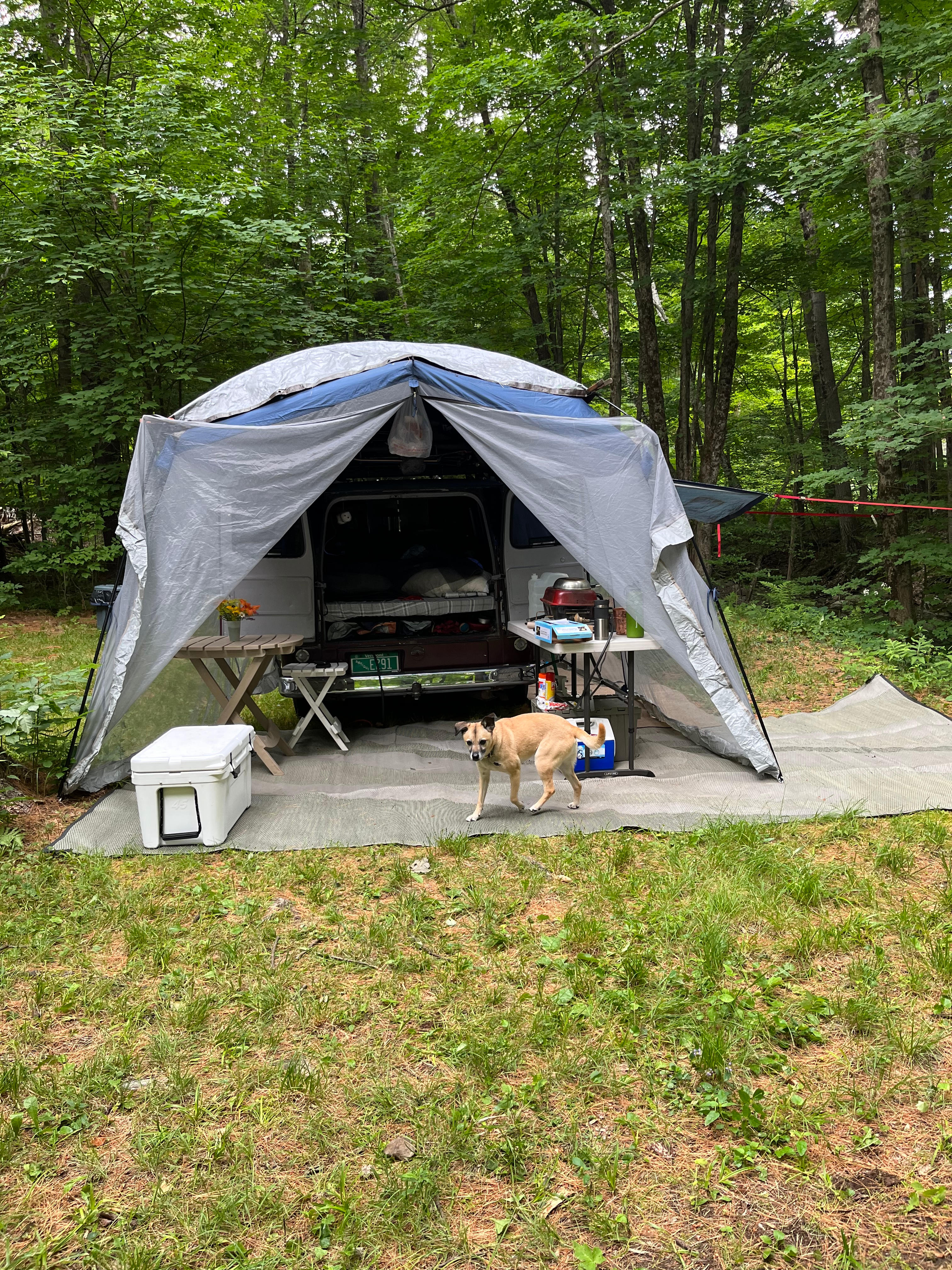 Texas Hill Brook & Dark Star Cabin