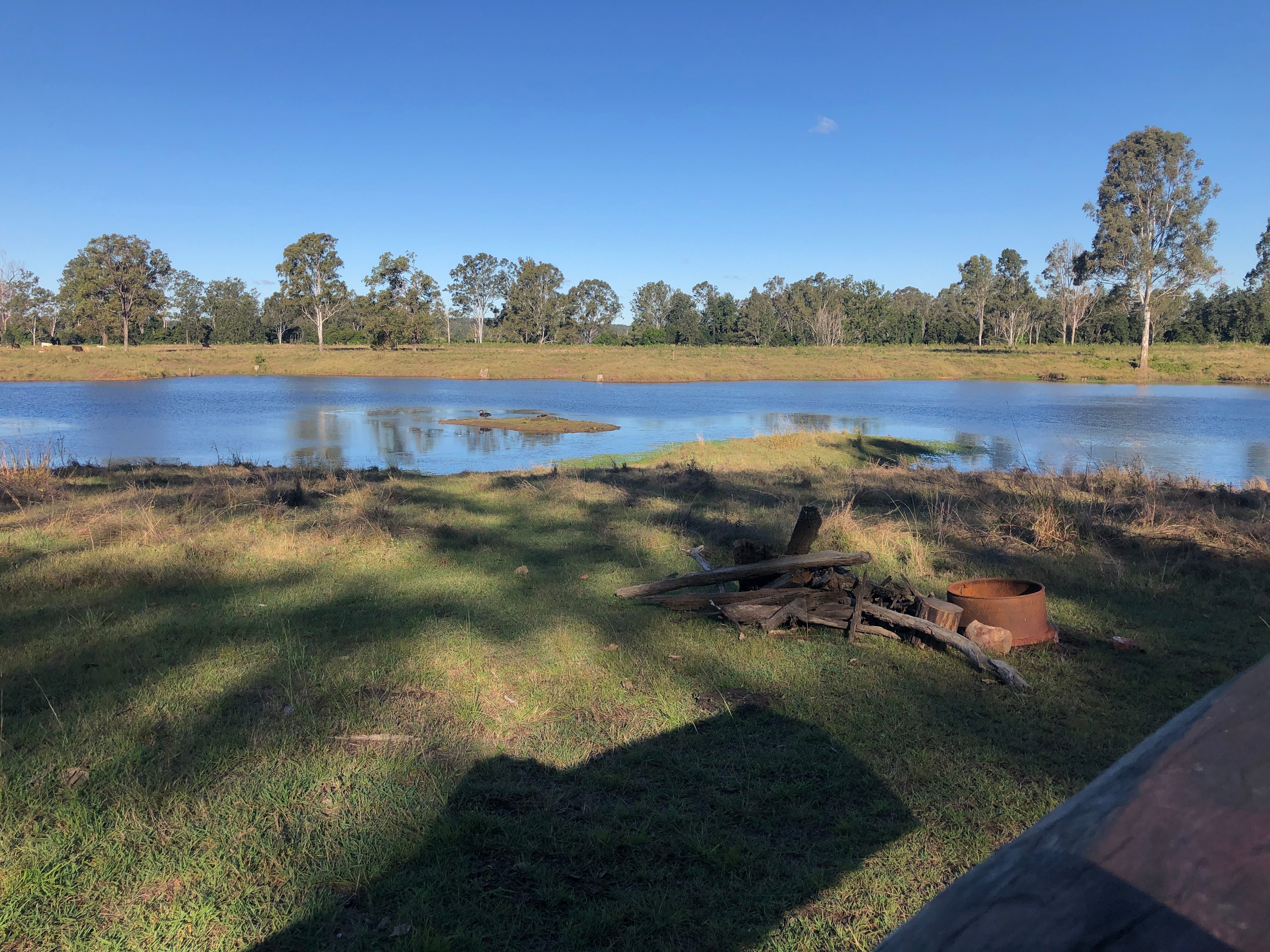 Lakeside - Bluegum Bar has the swans nesting on the island.