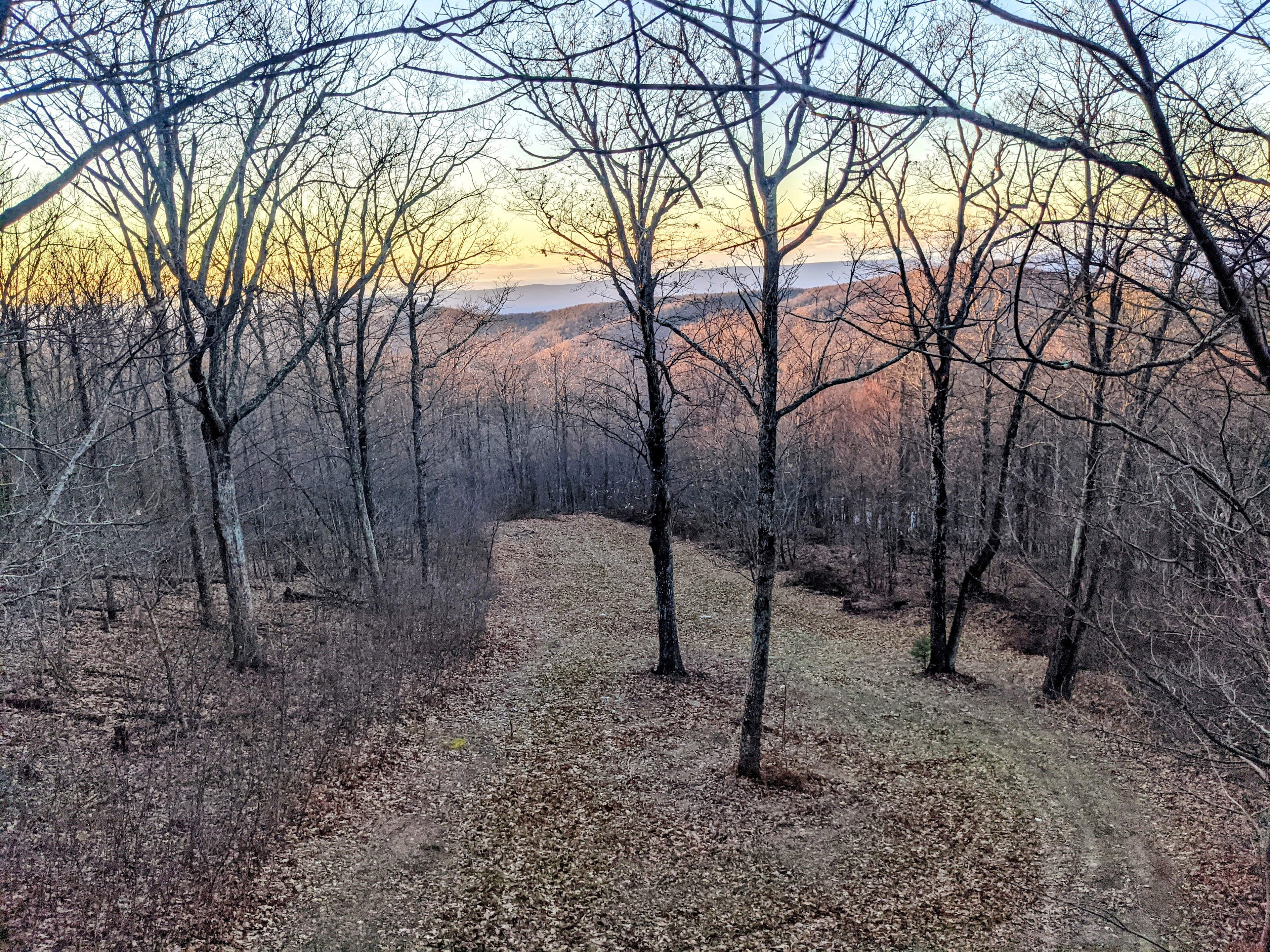 Shenandoah NP MTN Field