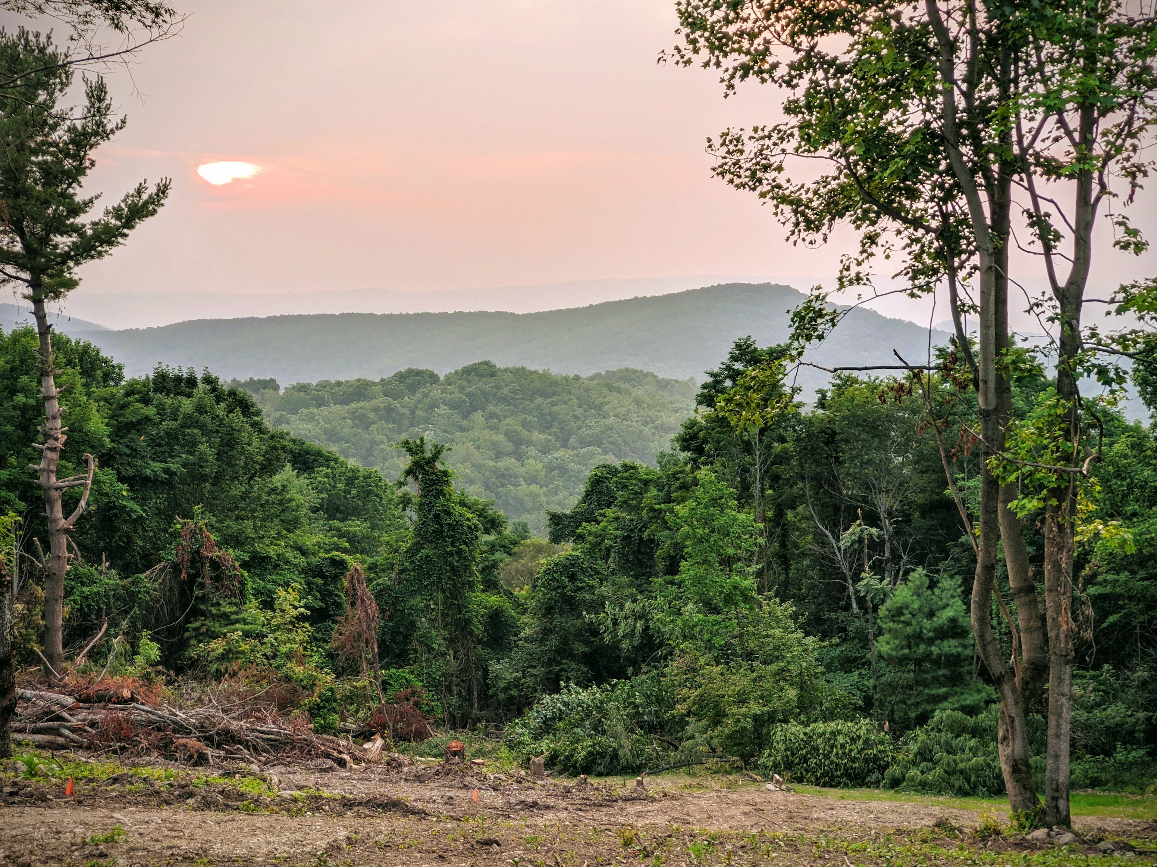 Shenandoah NP MTN Field