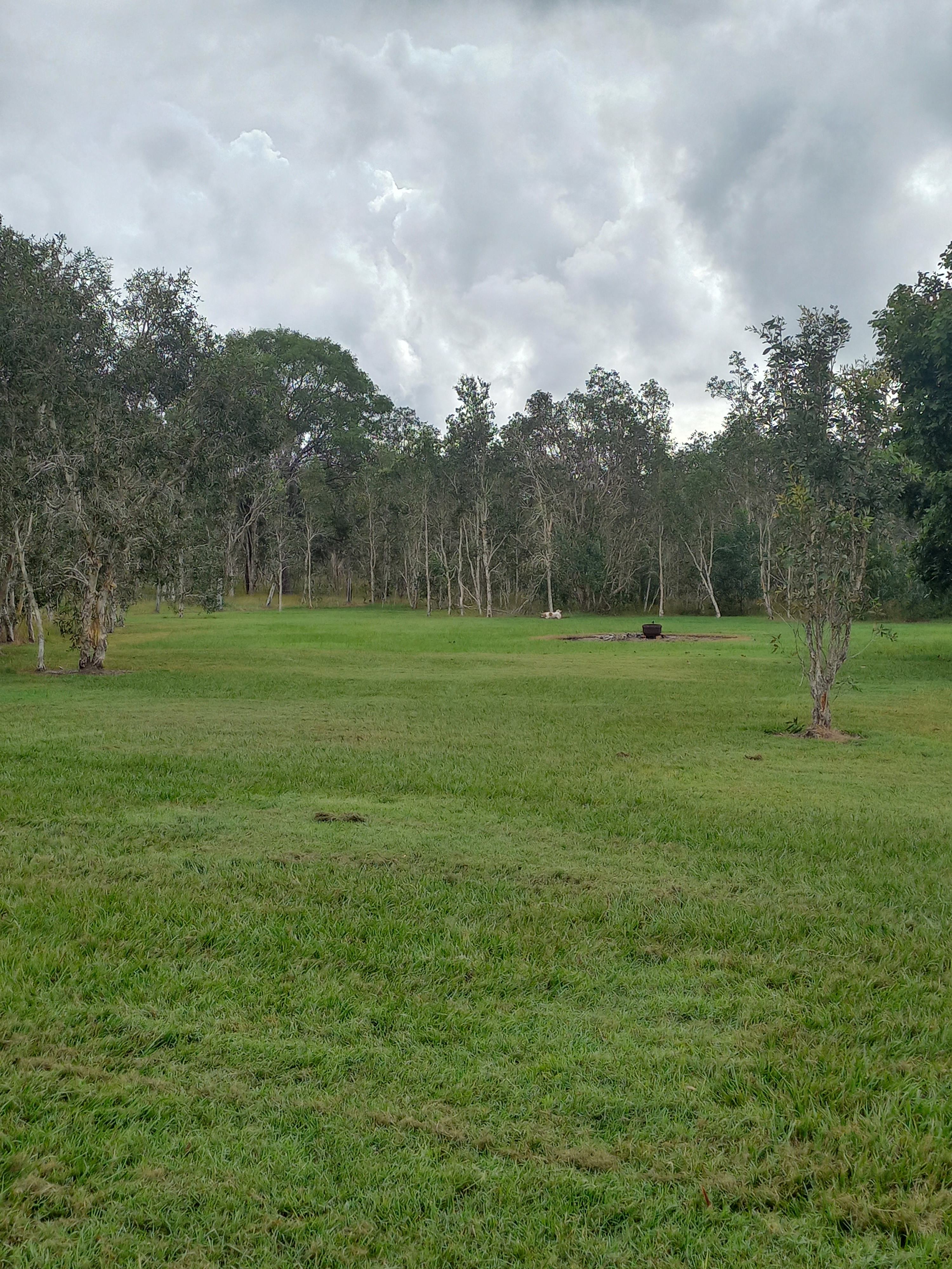 A view of one of the 8 camping areas