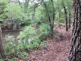 Treehouse - Reset in Nature