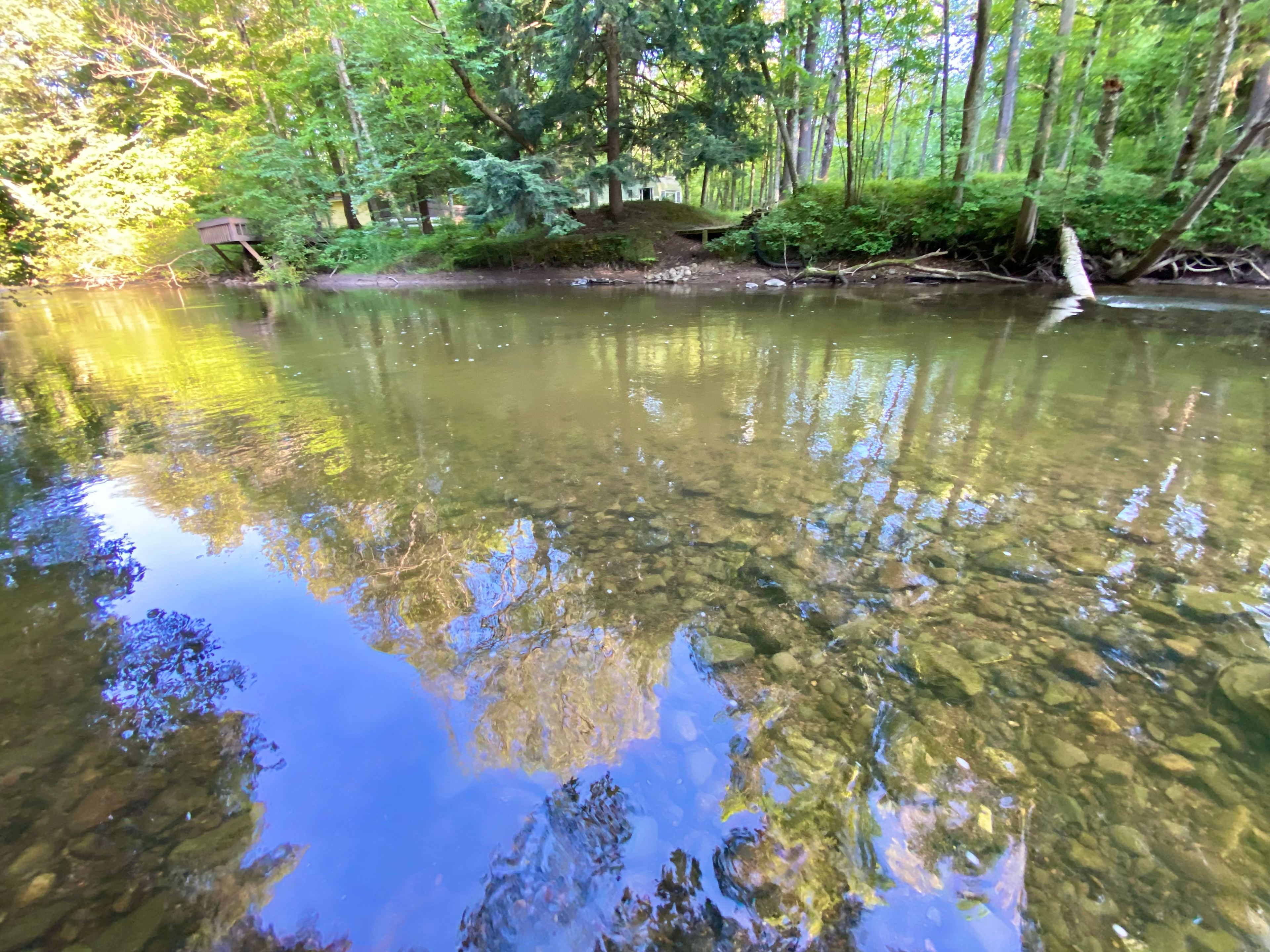 Brookhollow Riverfront Campsite