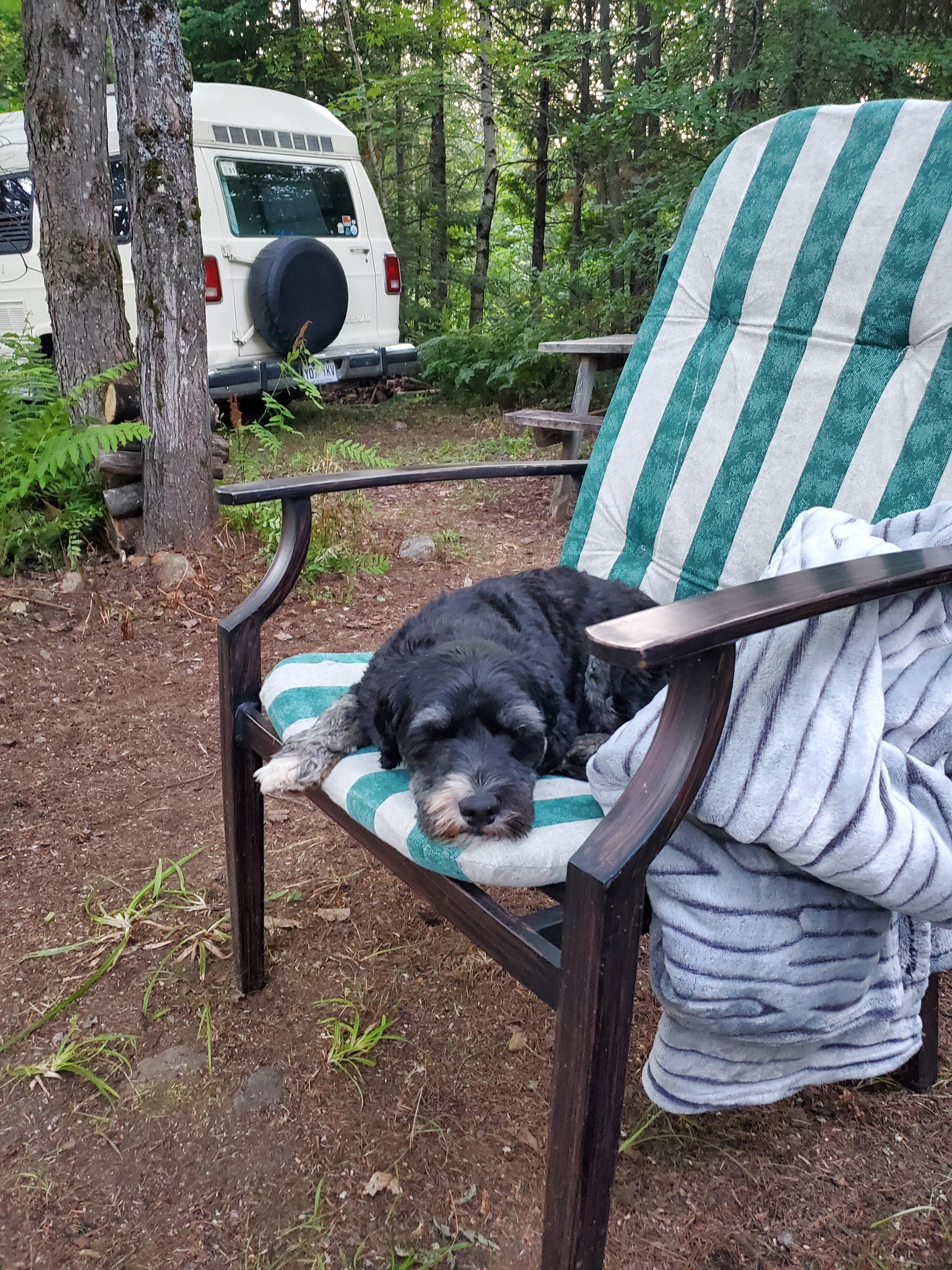 Nature Lake Forest Relax’n Breathe