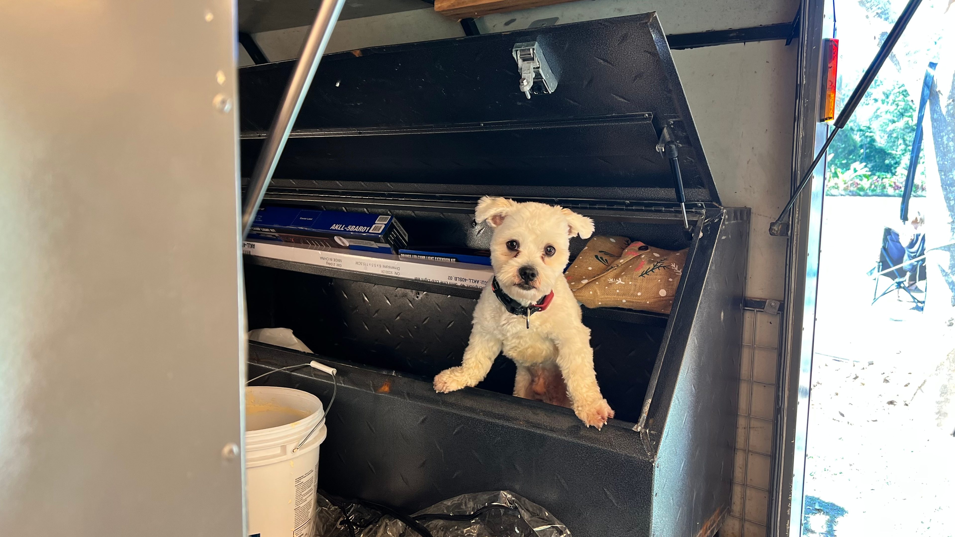 The Billabong Kuranda