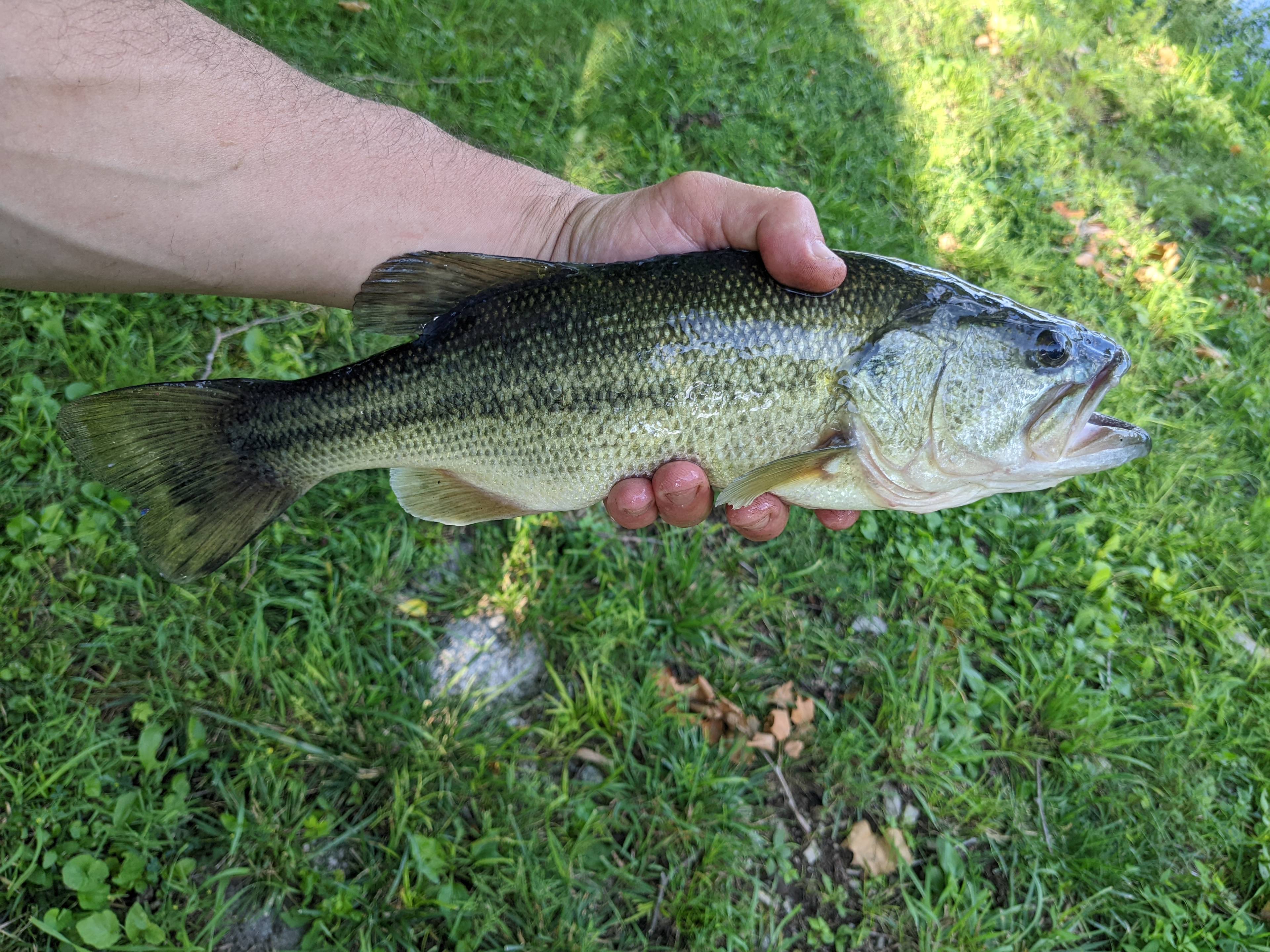 Private River - RV or tent