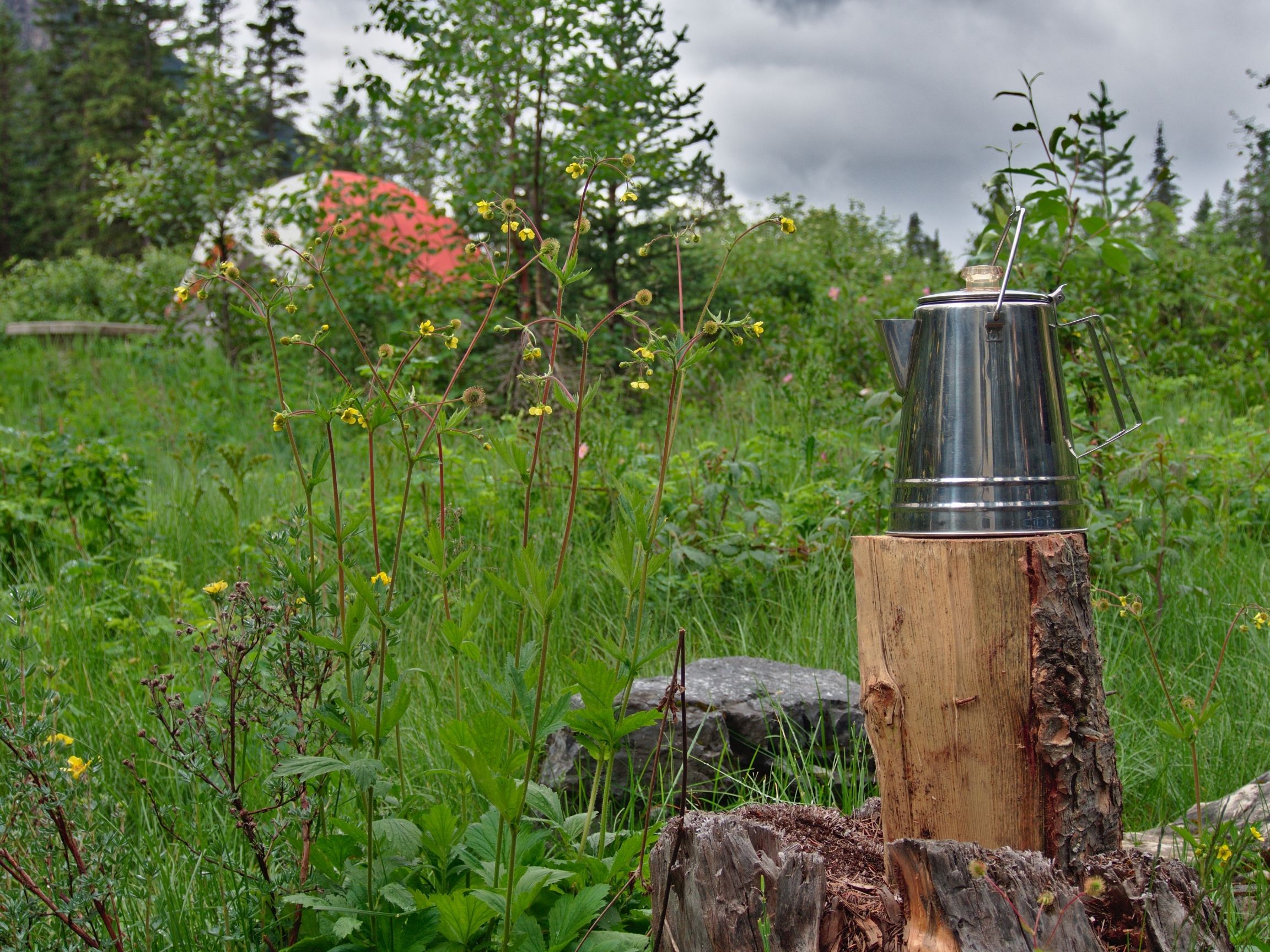 Coffee & camping, like cheese and crackers.