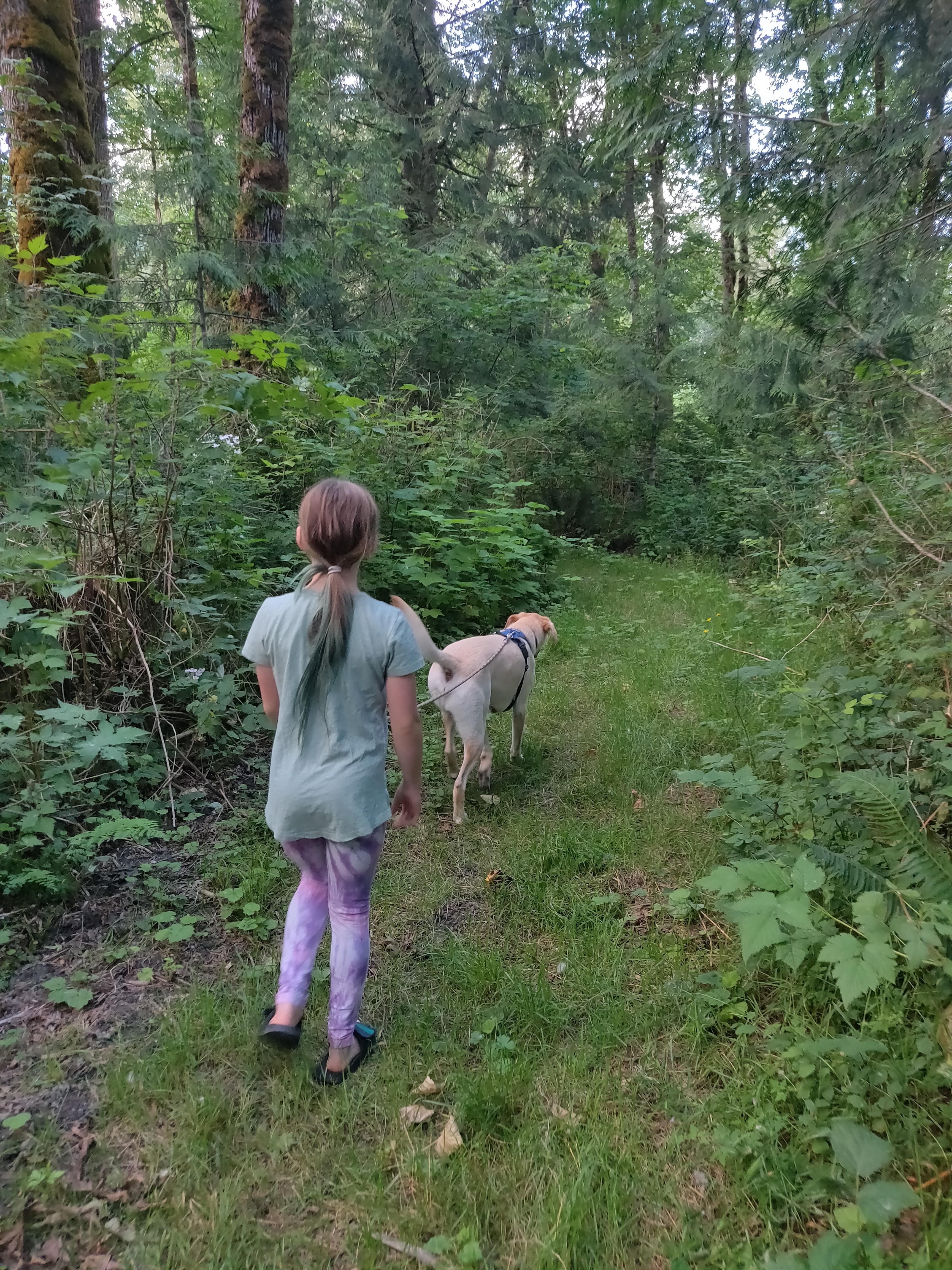Walking on the trails