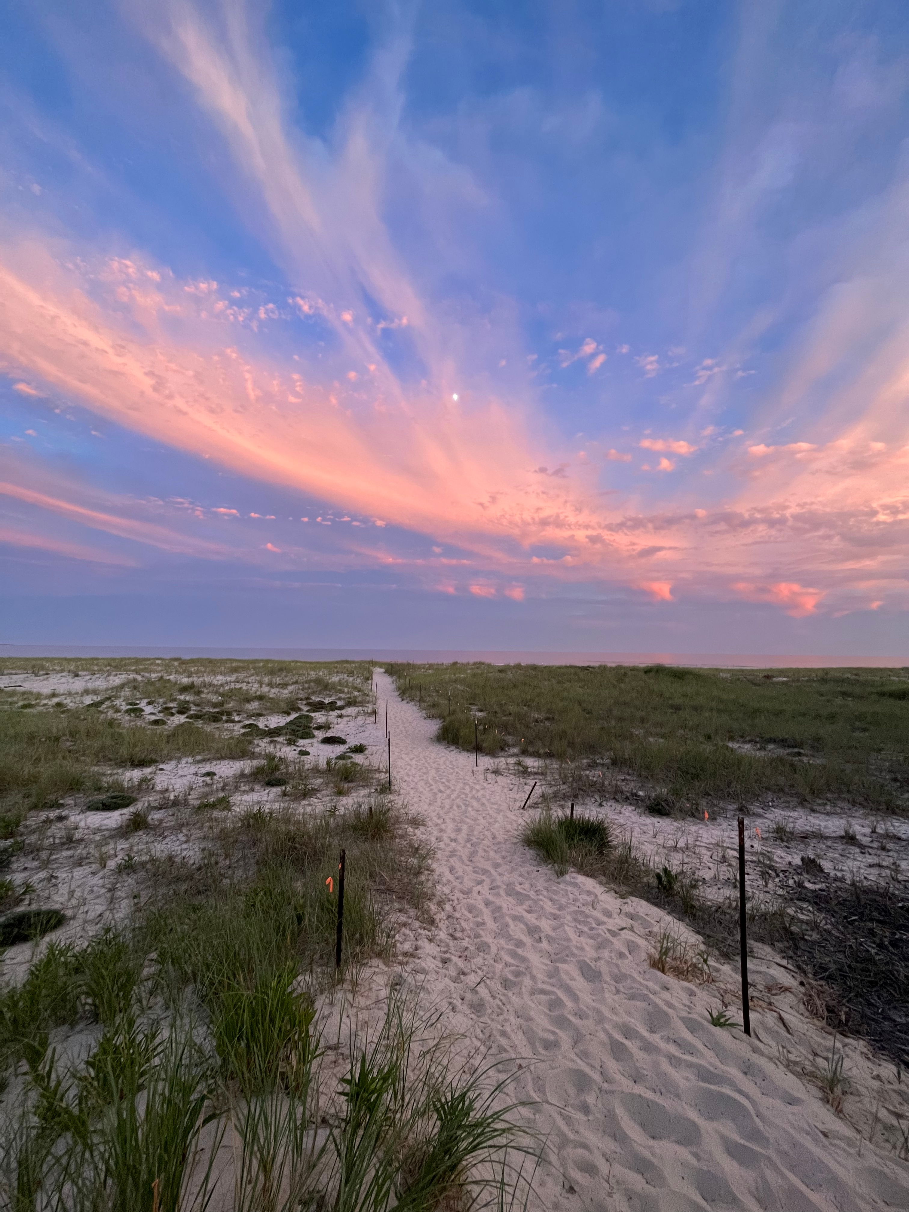 Hampton’s Campsites