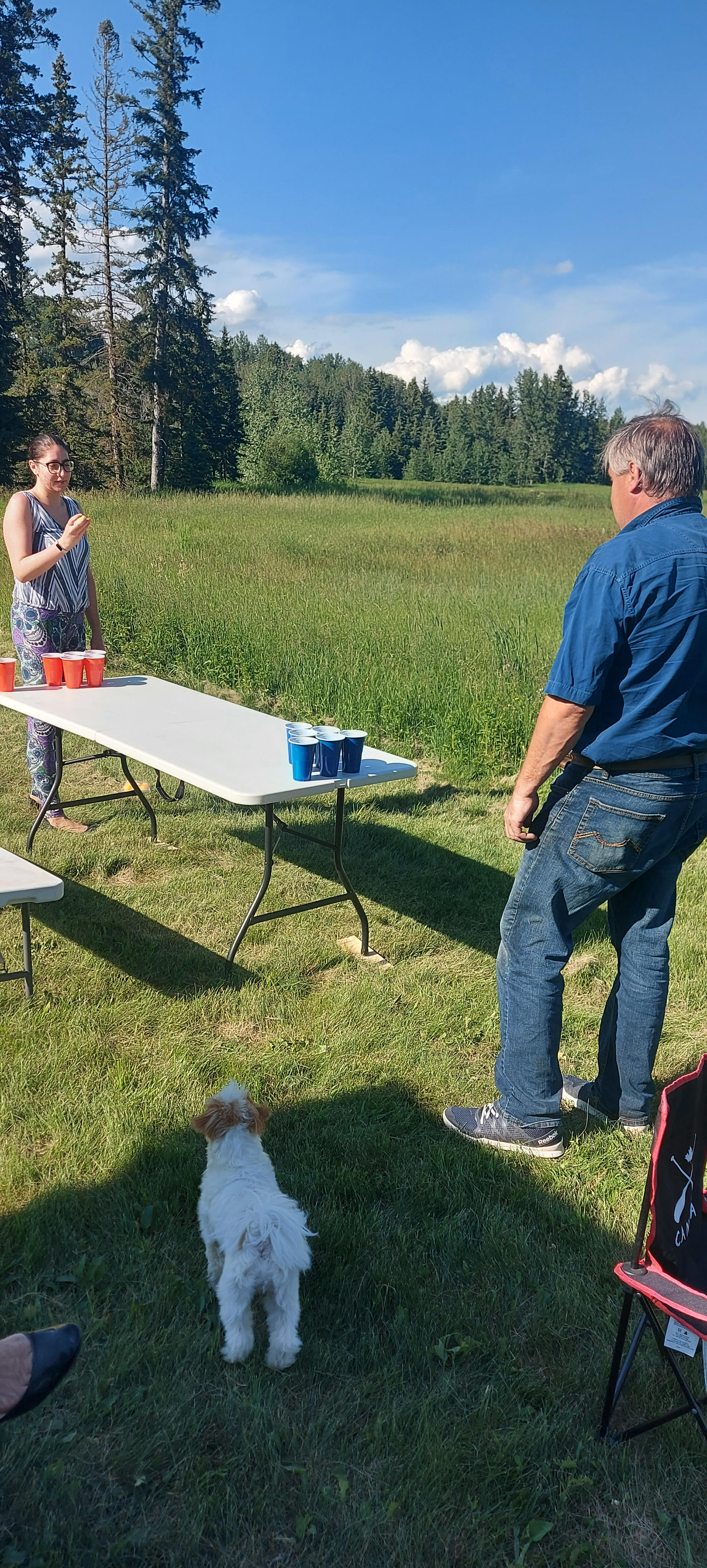 Riverside camp with Highland Cows