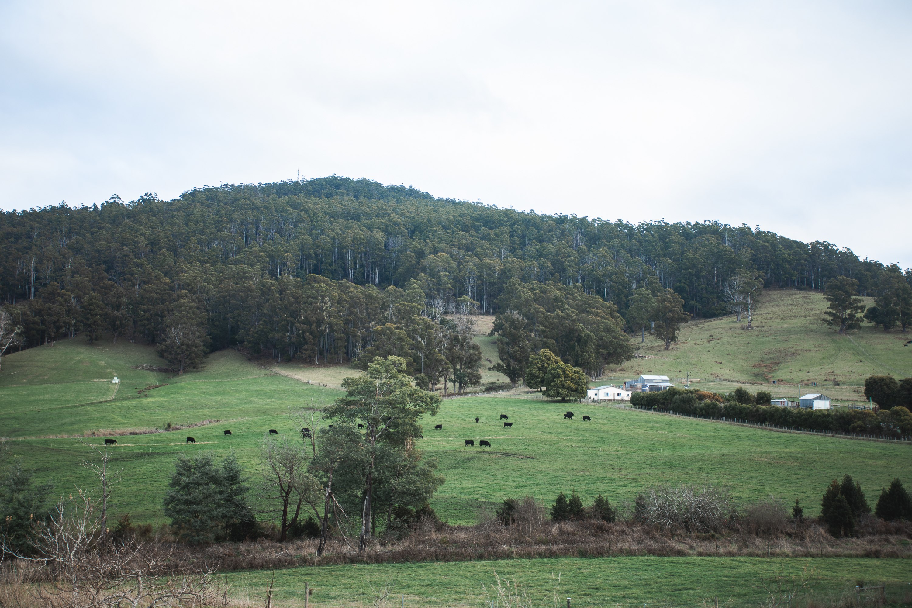 View from the farm, on top of the campsite