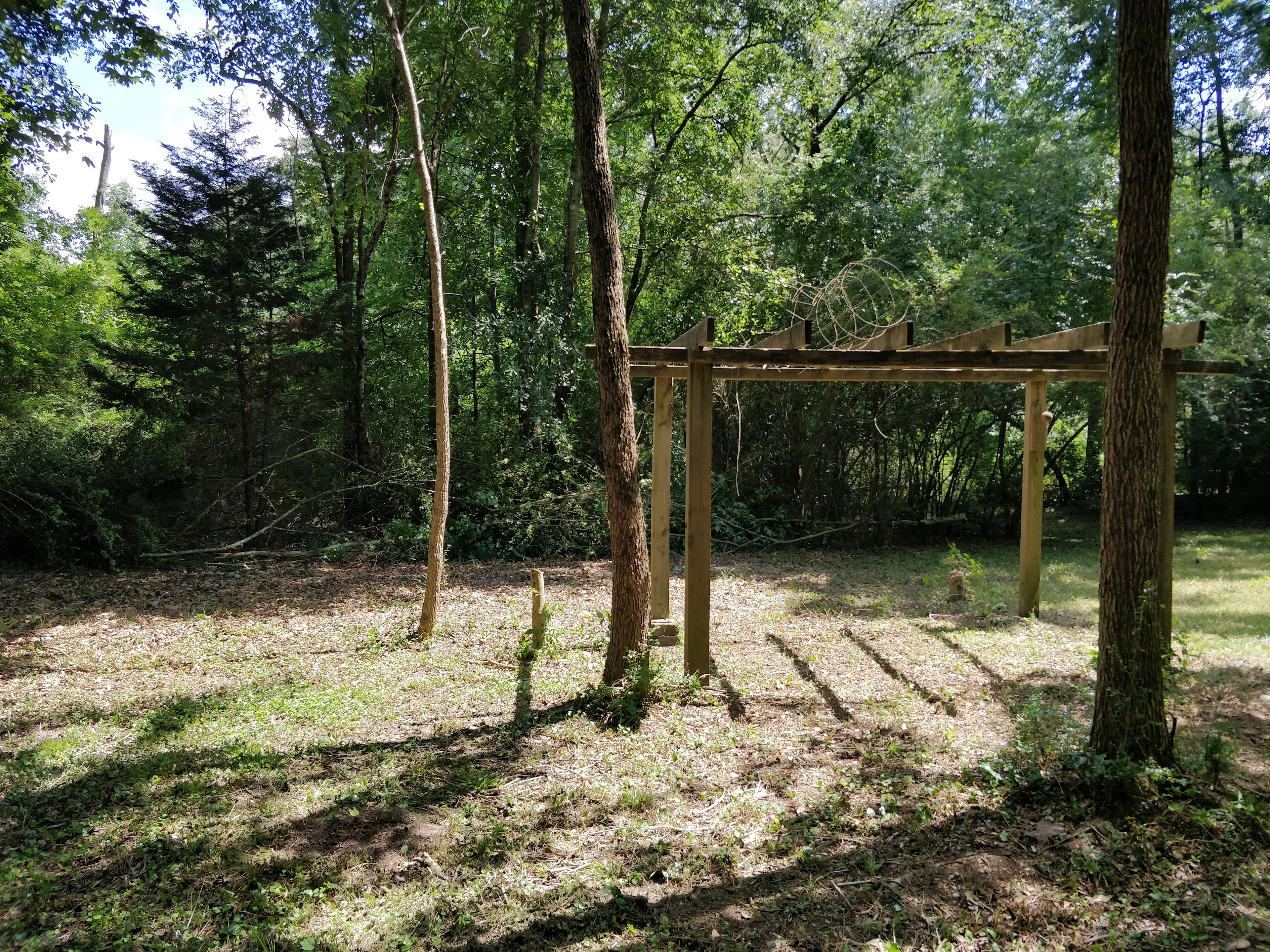 DOG Freedom Camp