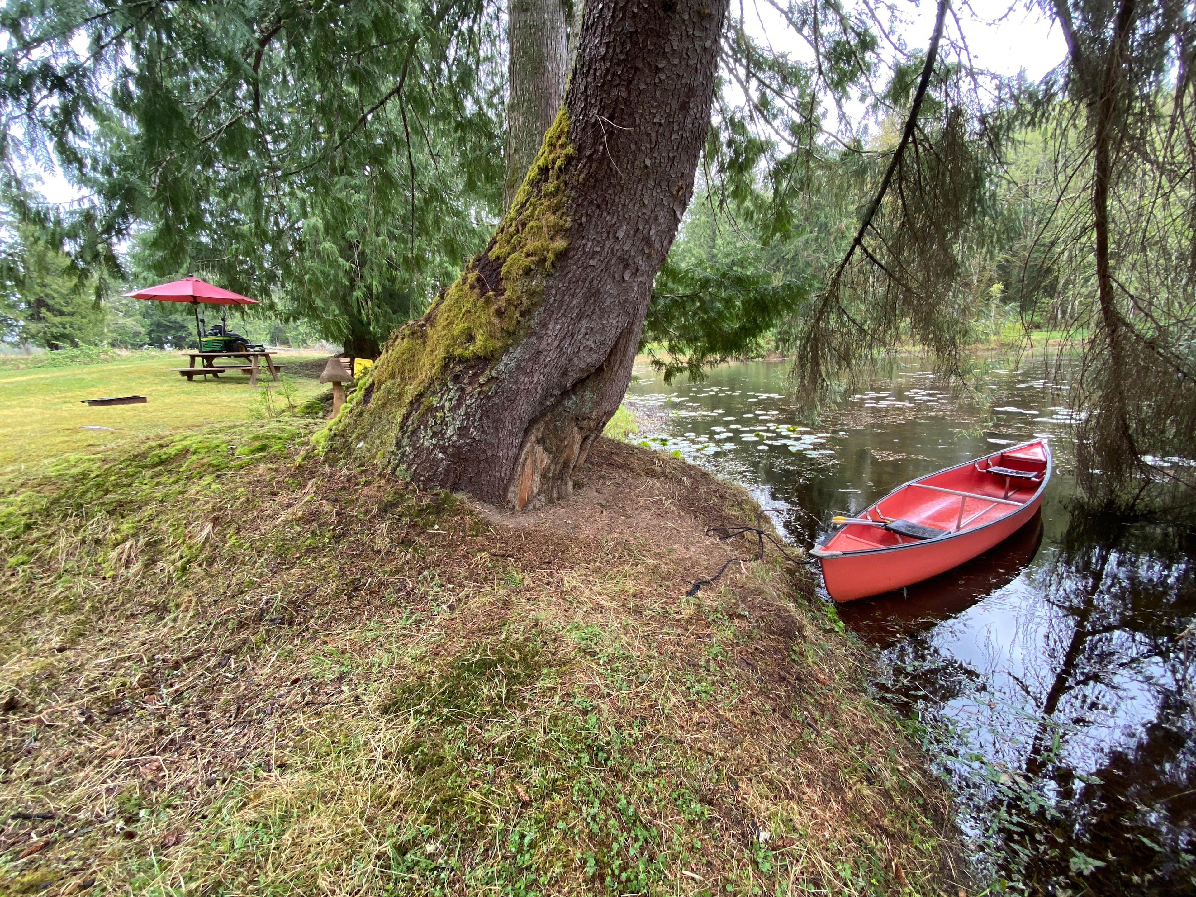 Dragonfly Campground
