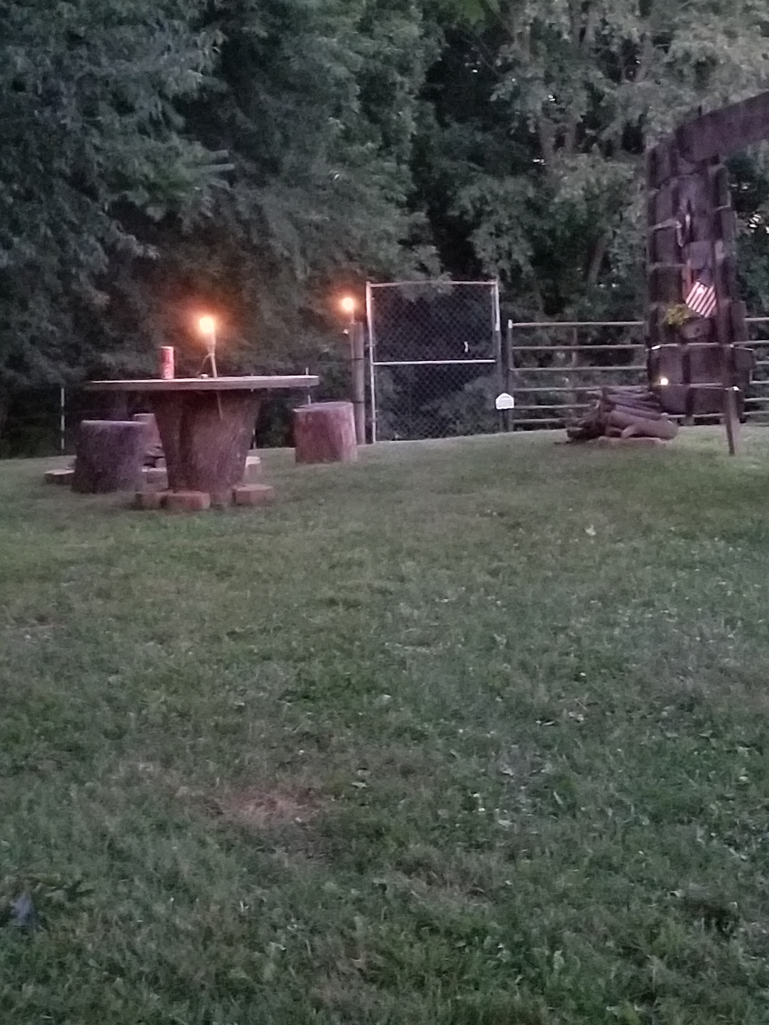 Site 1





Site 1