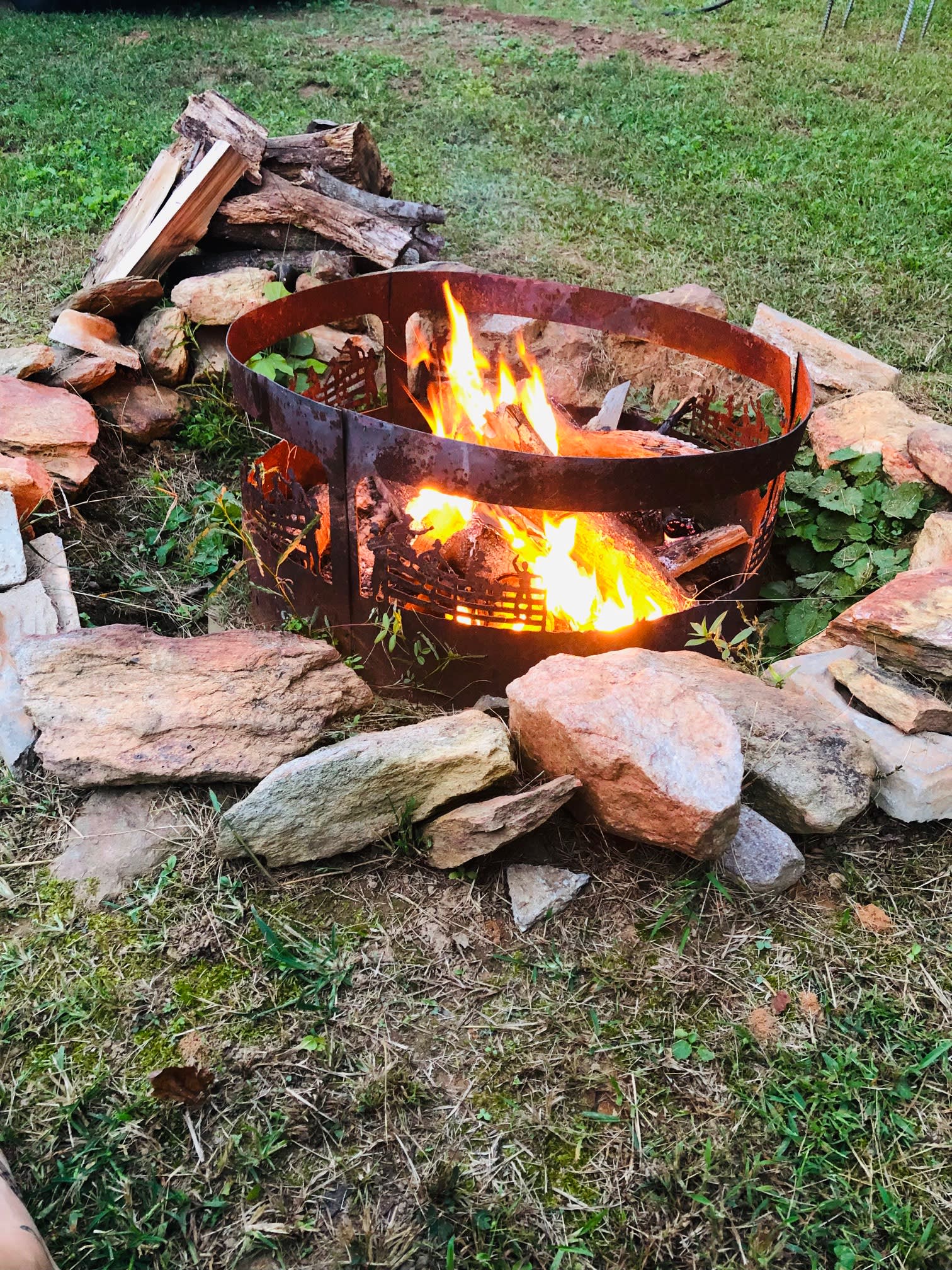 Free firewood! 