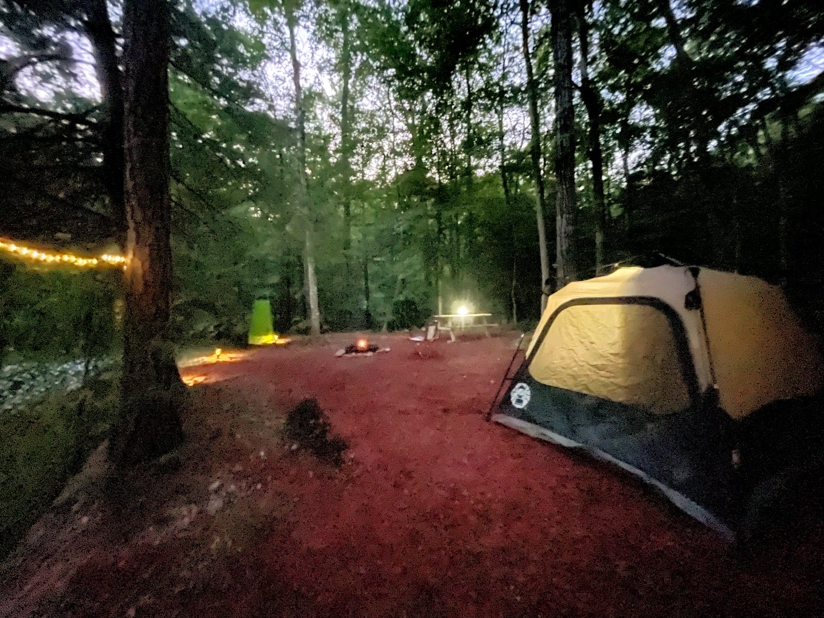 Private campsite w/ fire pit, picnic table and toilet