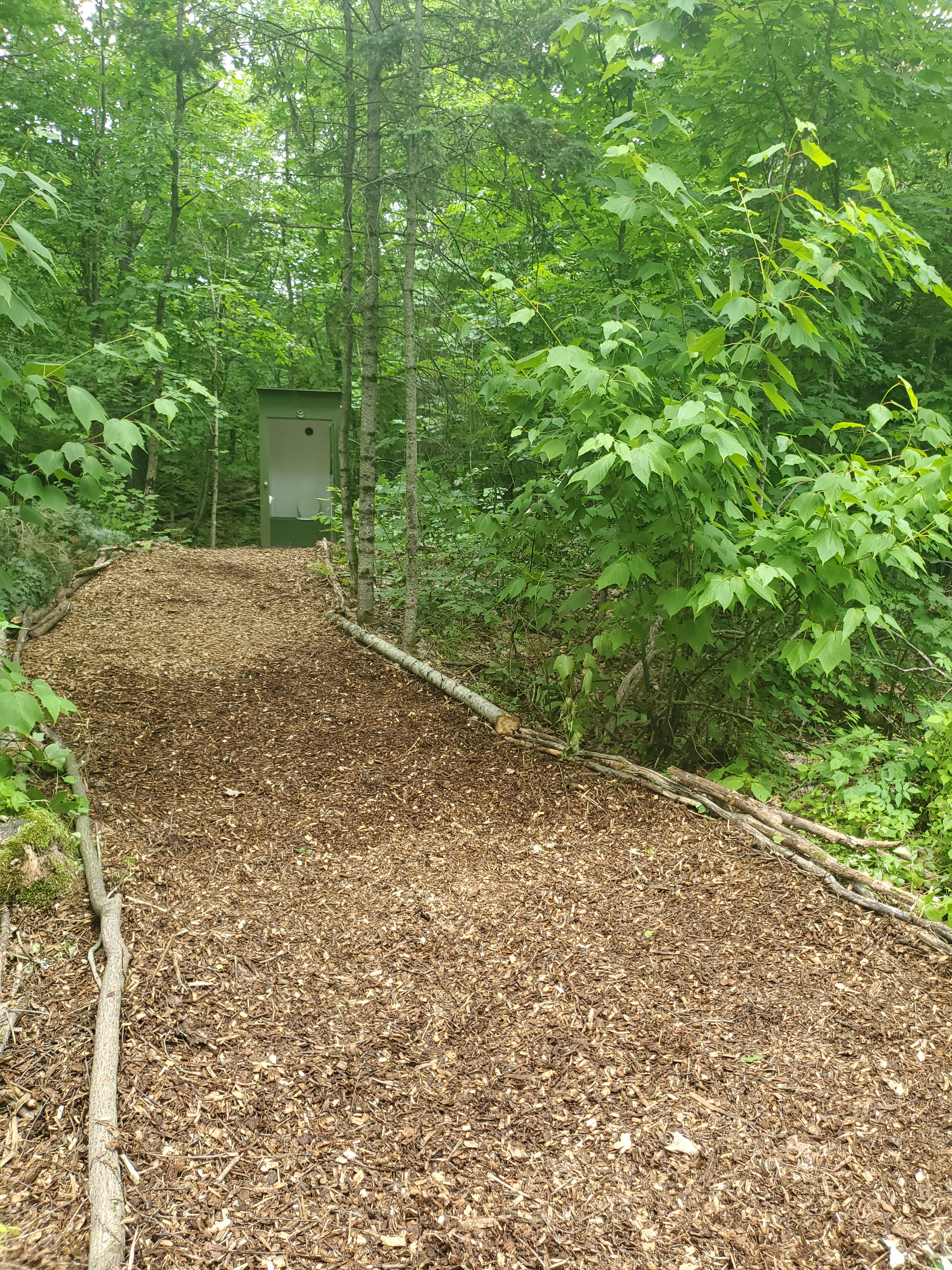 That Place on Limberlost