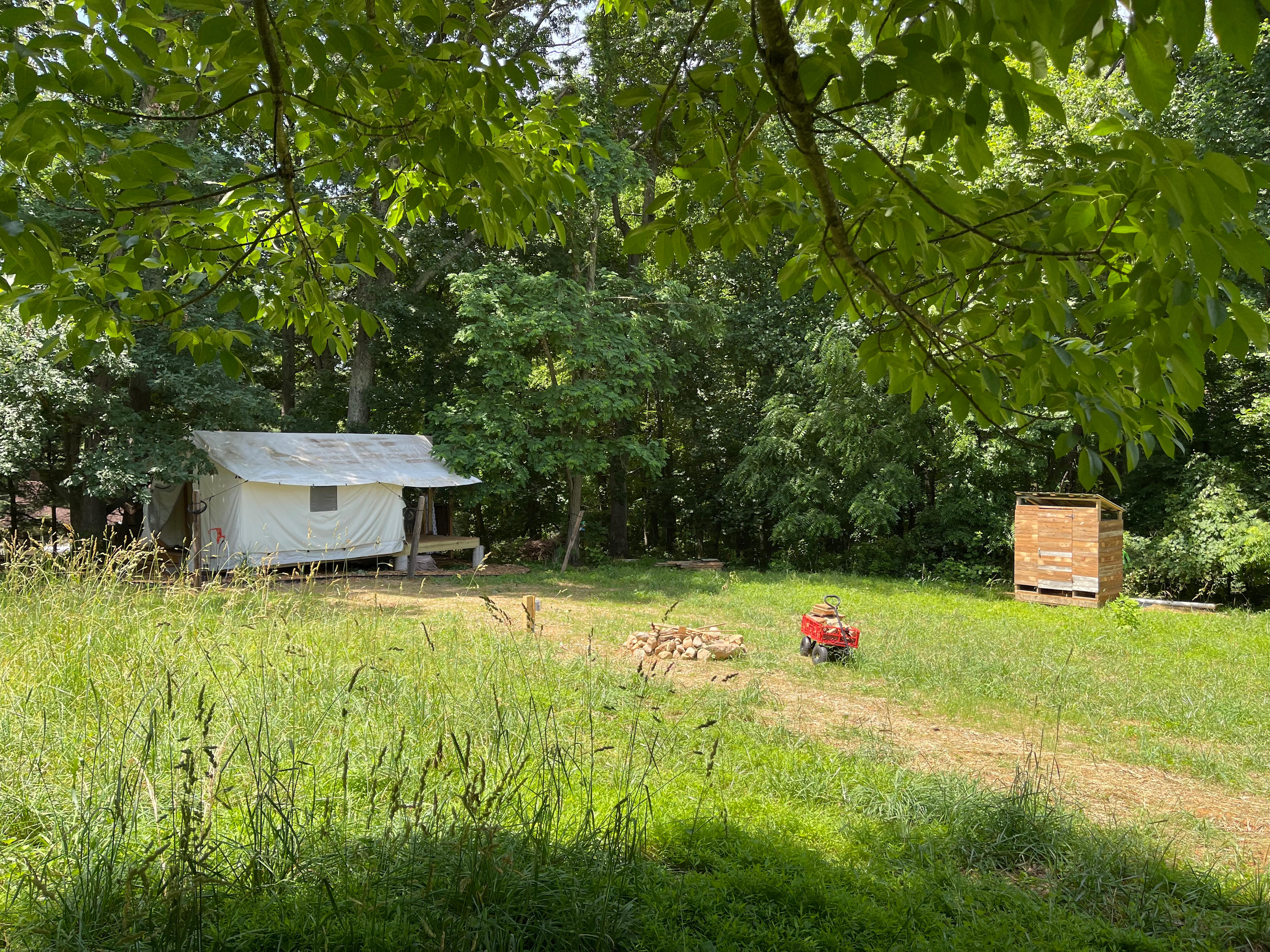 Wildflower Farm