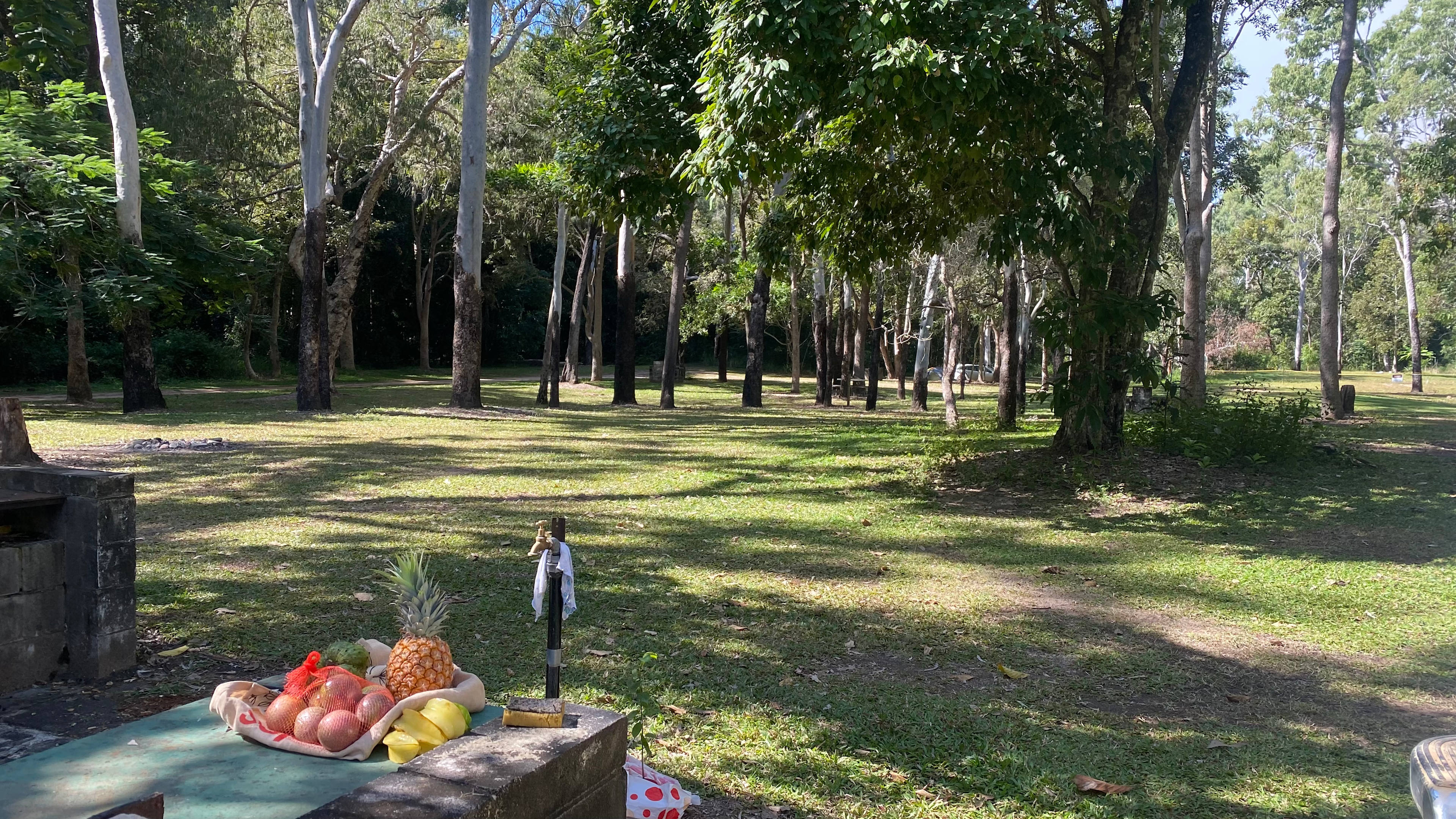 Crystal Creek Nywaigi Camp Grounds