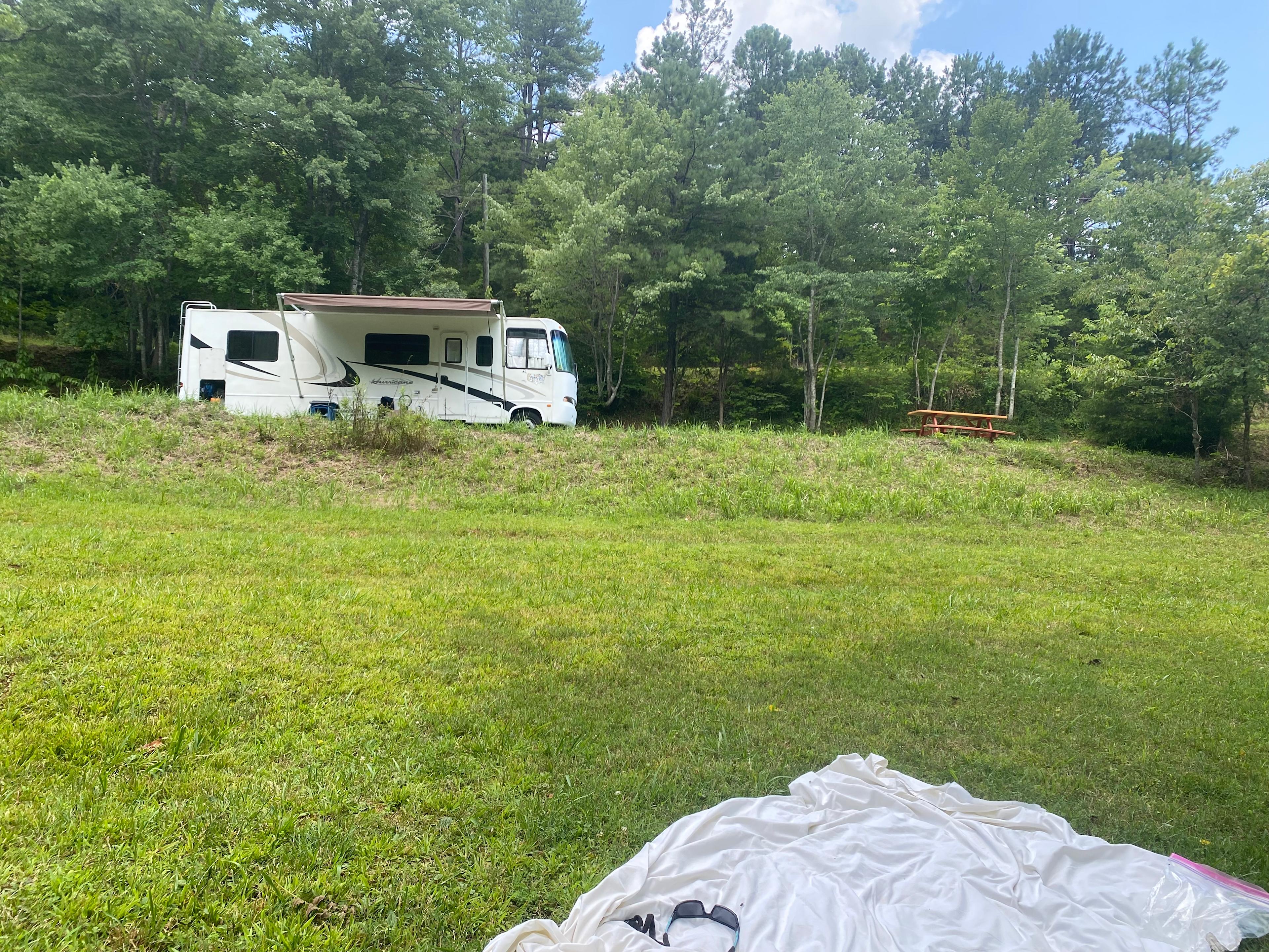 The yard looking back at site