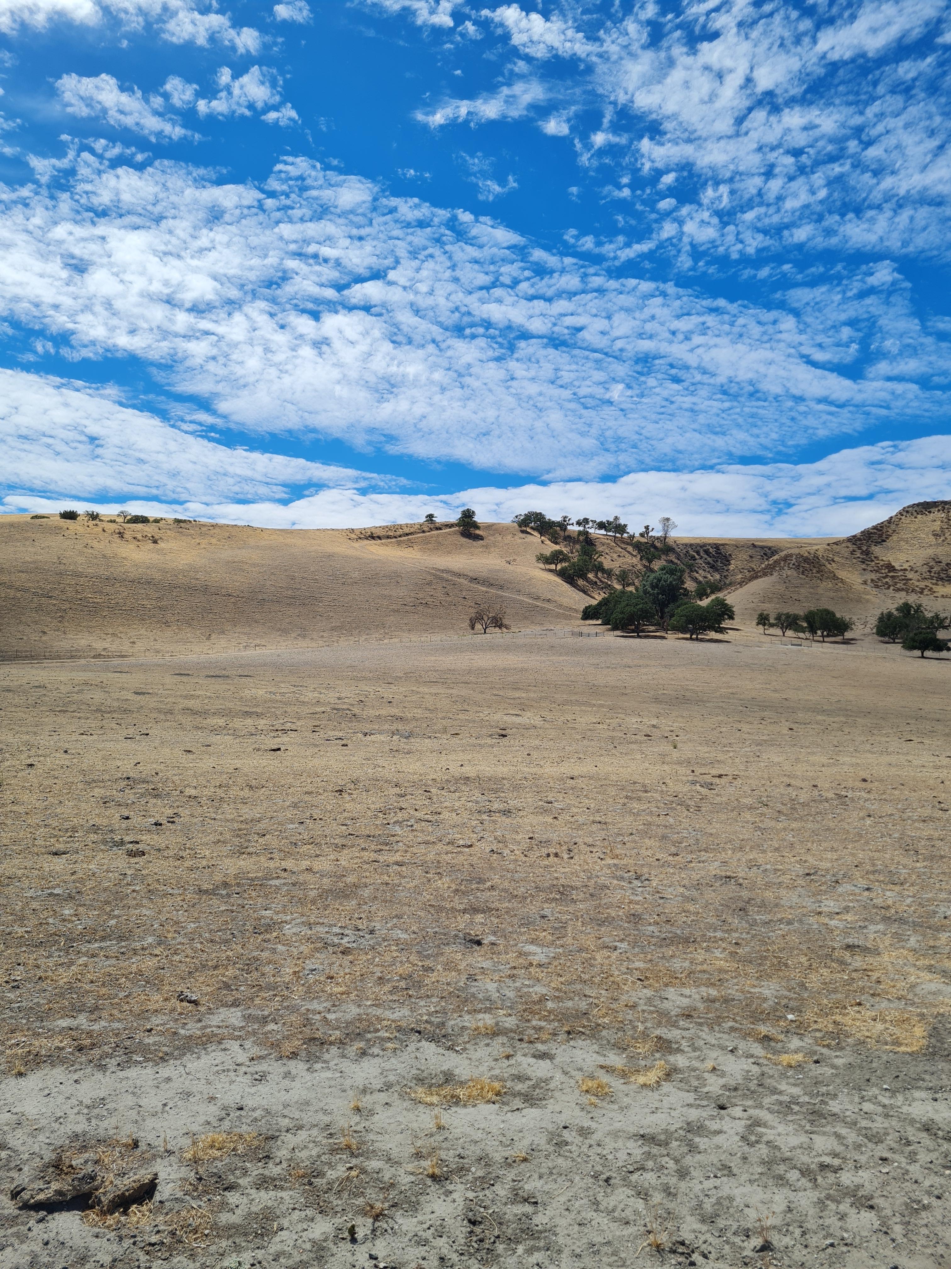 BIG VALLEY OPEN SKY - Central Coast