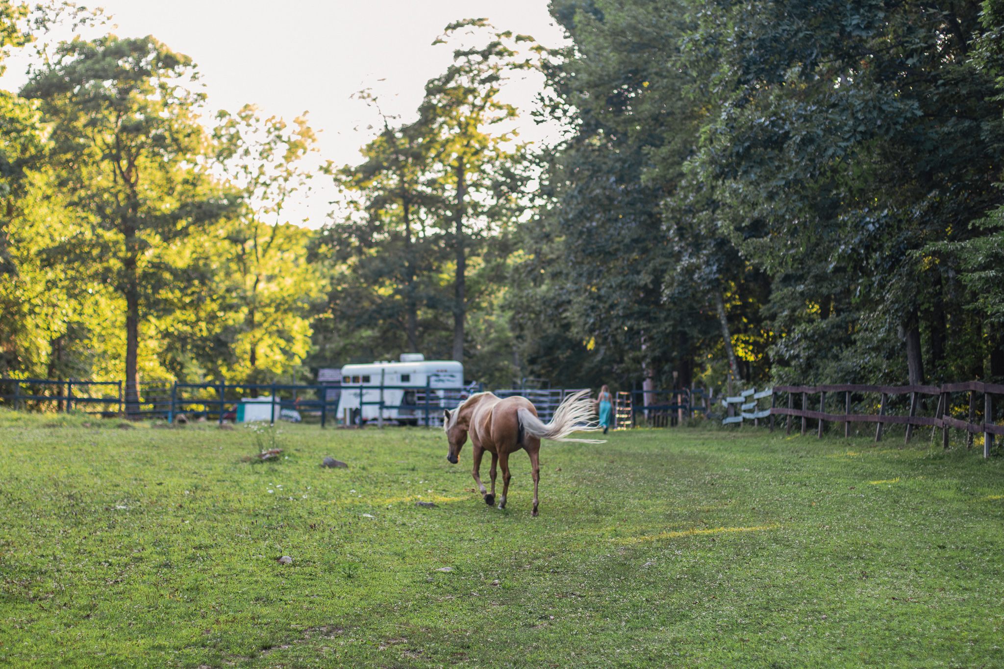 Humble Farm with Simplicity