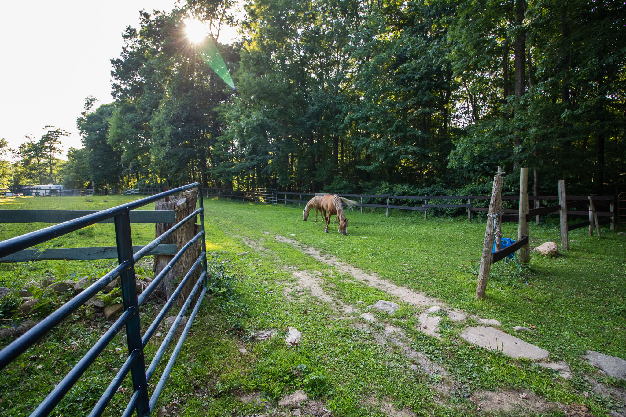 Horse pasture right next to the campsite