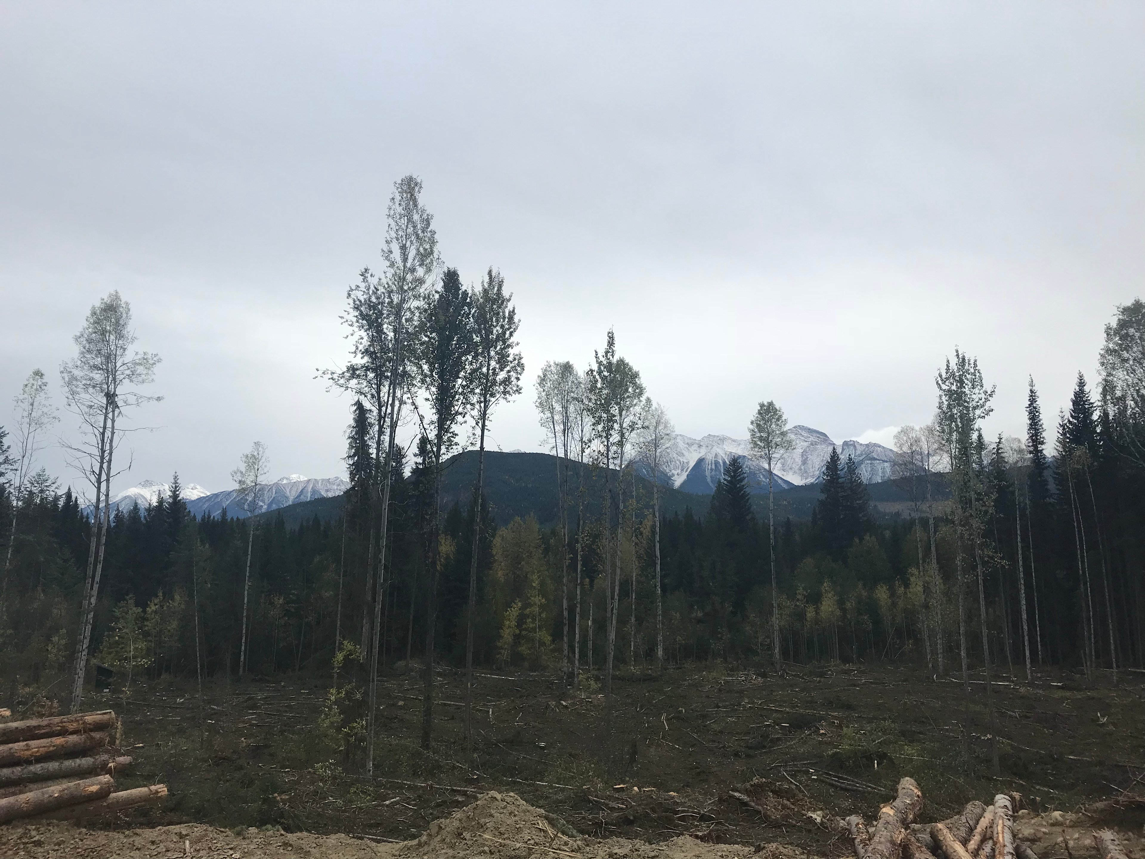 Secluded River Front Property