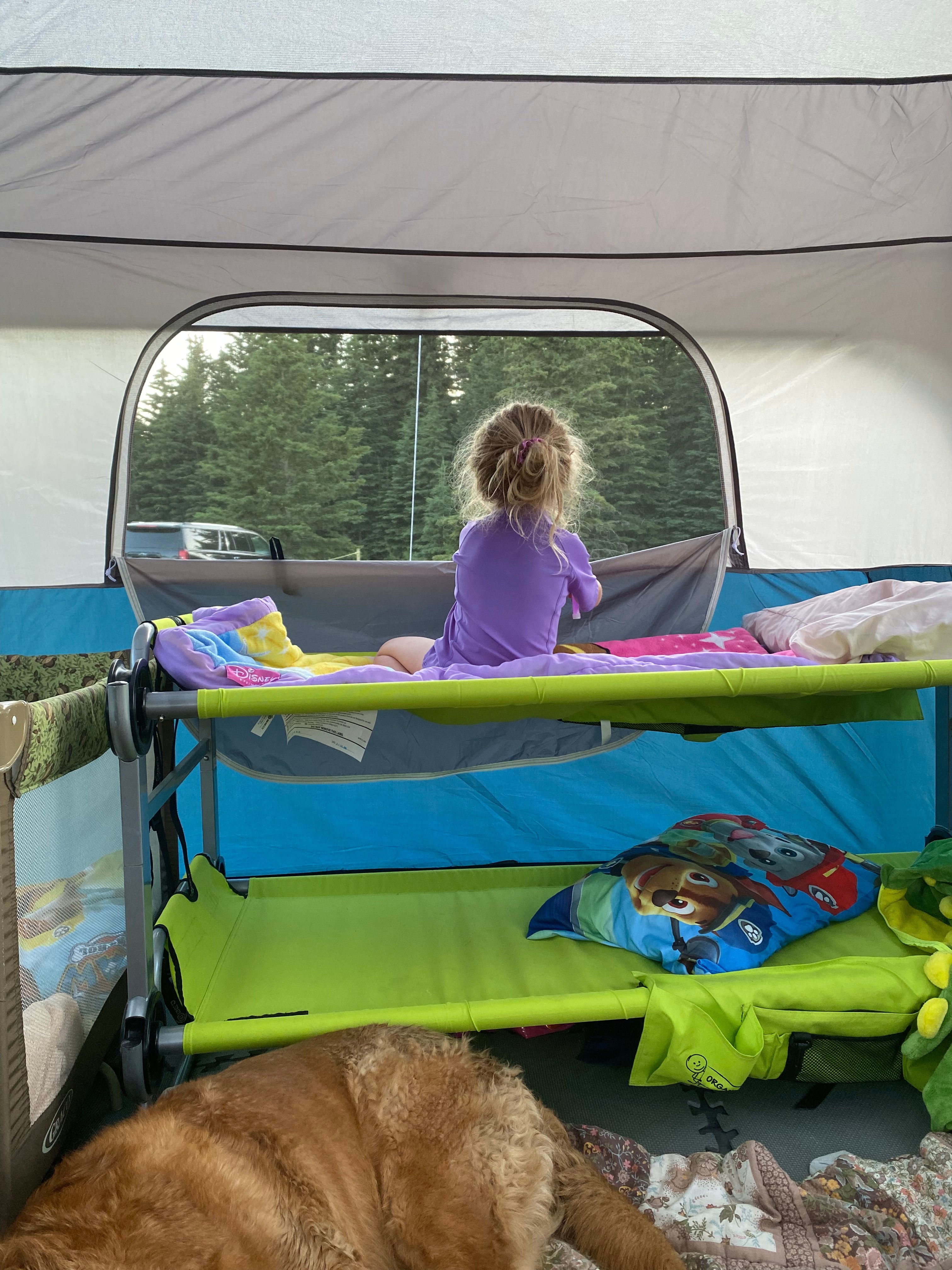 Riverside camp with Highland Cows