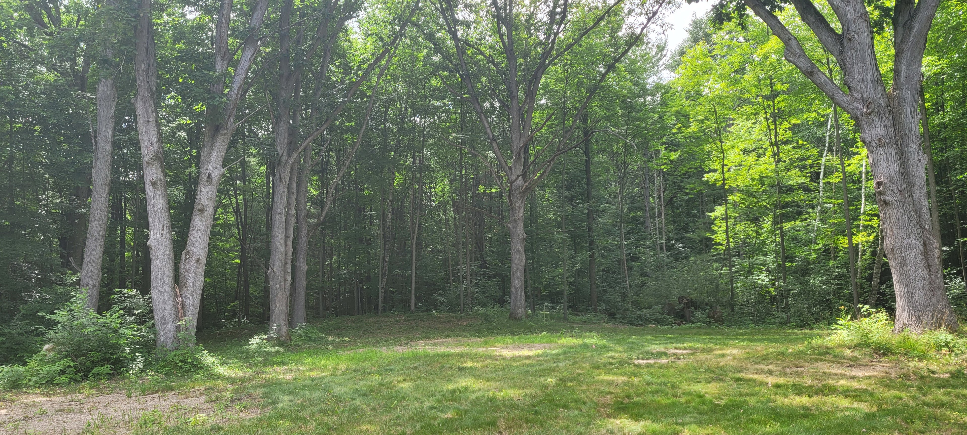 6+ Acre Rustic Forest Camp