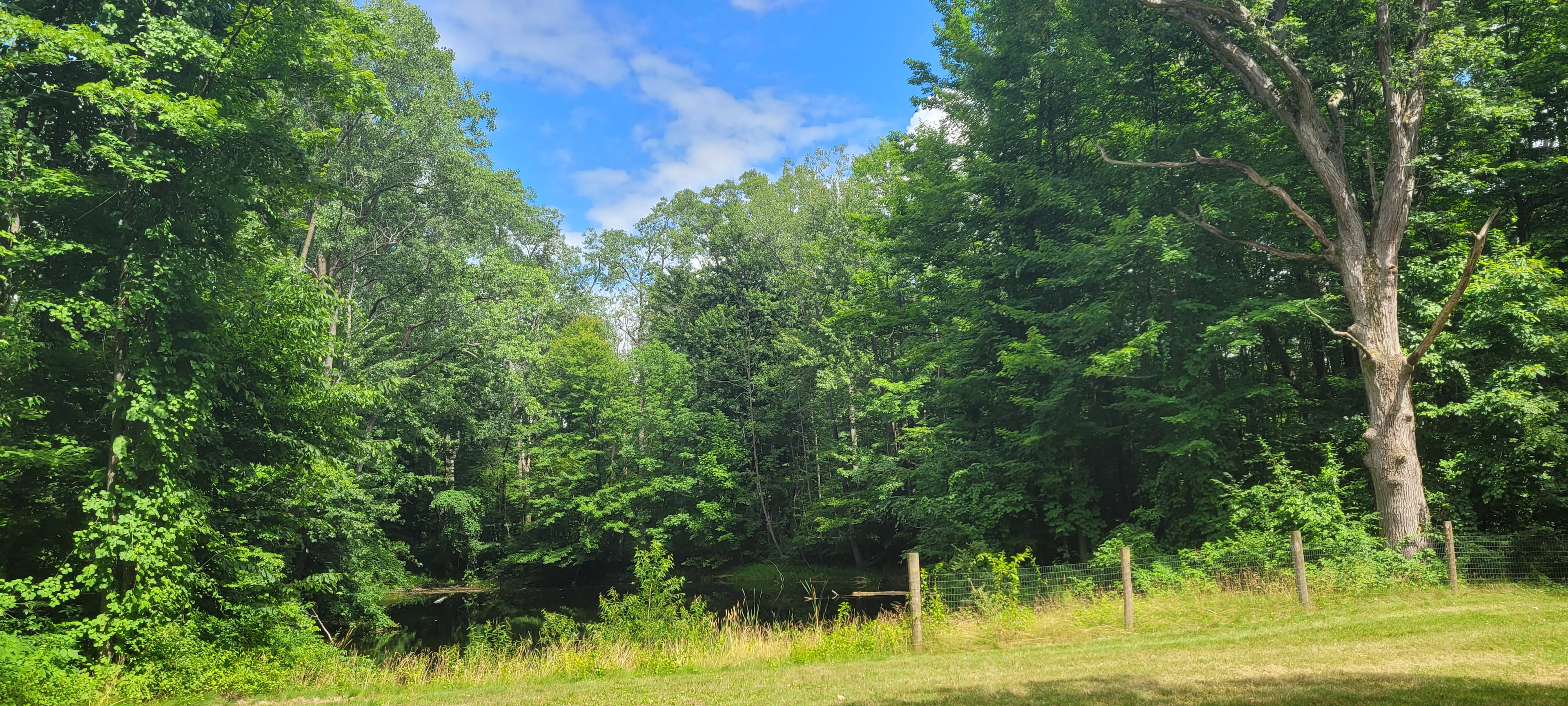 6+ Acre Rustic Forest Camp
