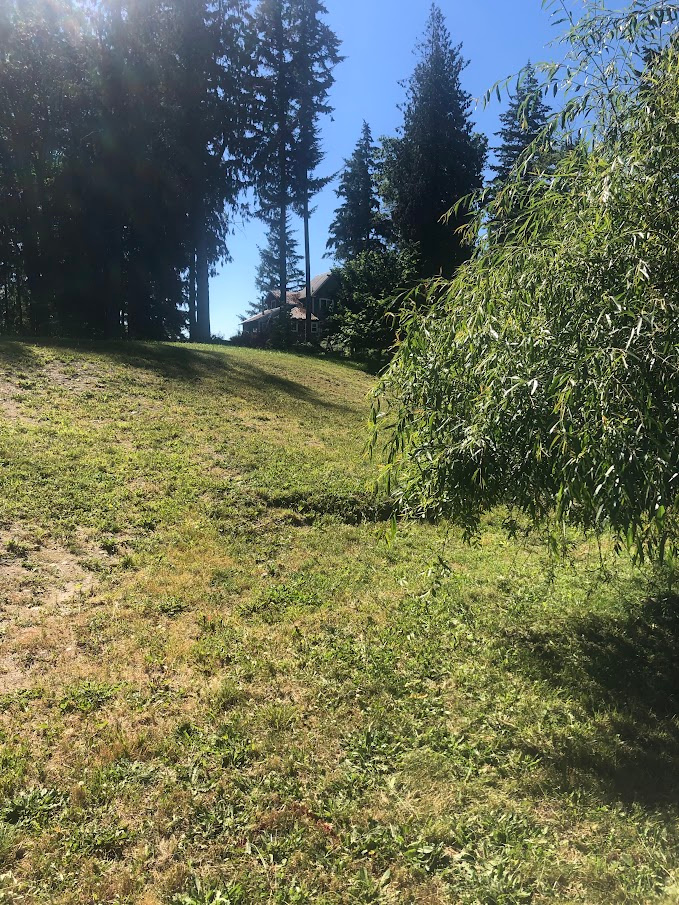 View of our house from the campsite. 