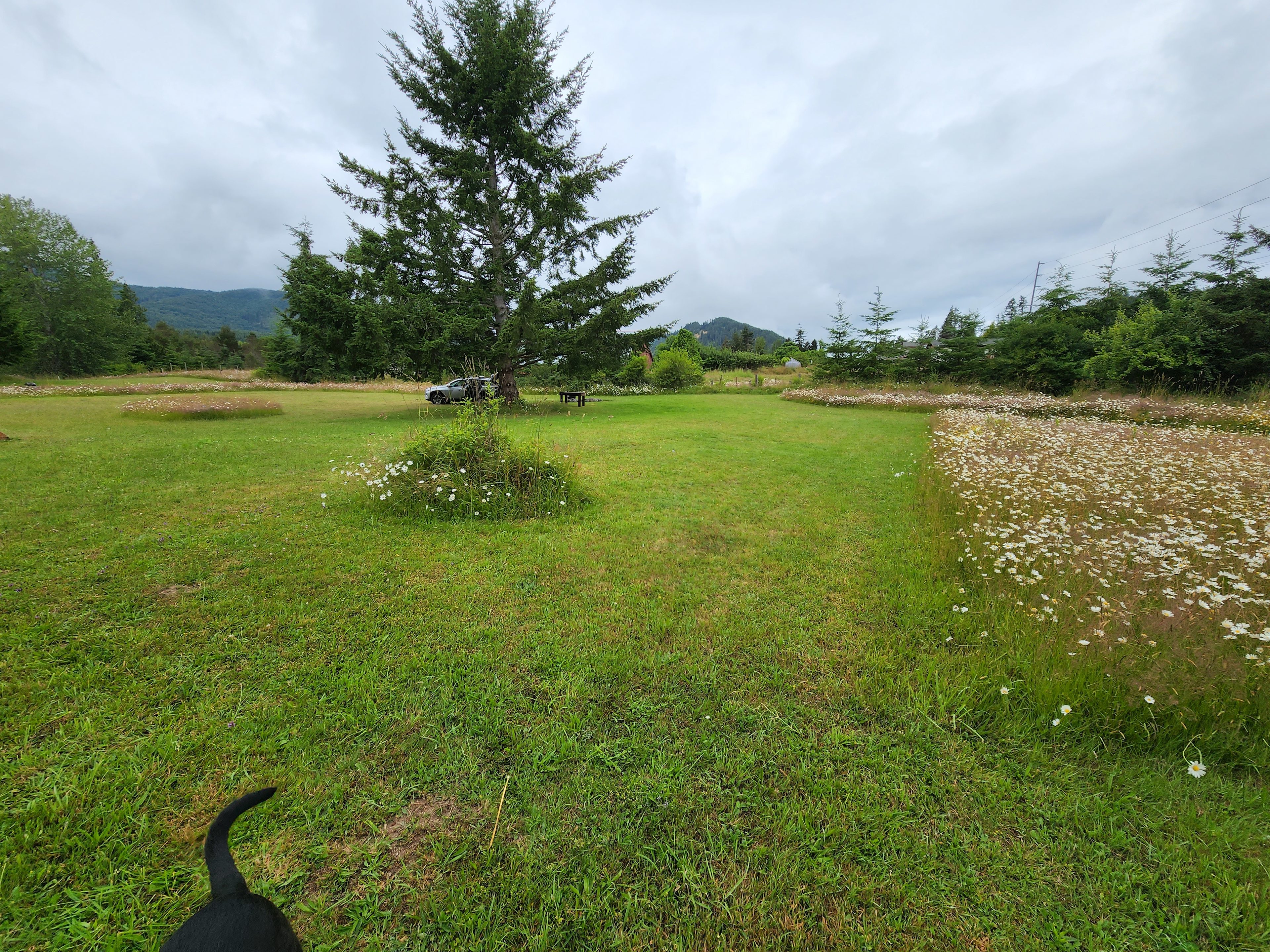Ranger Creek Campground