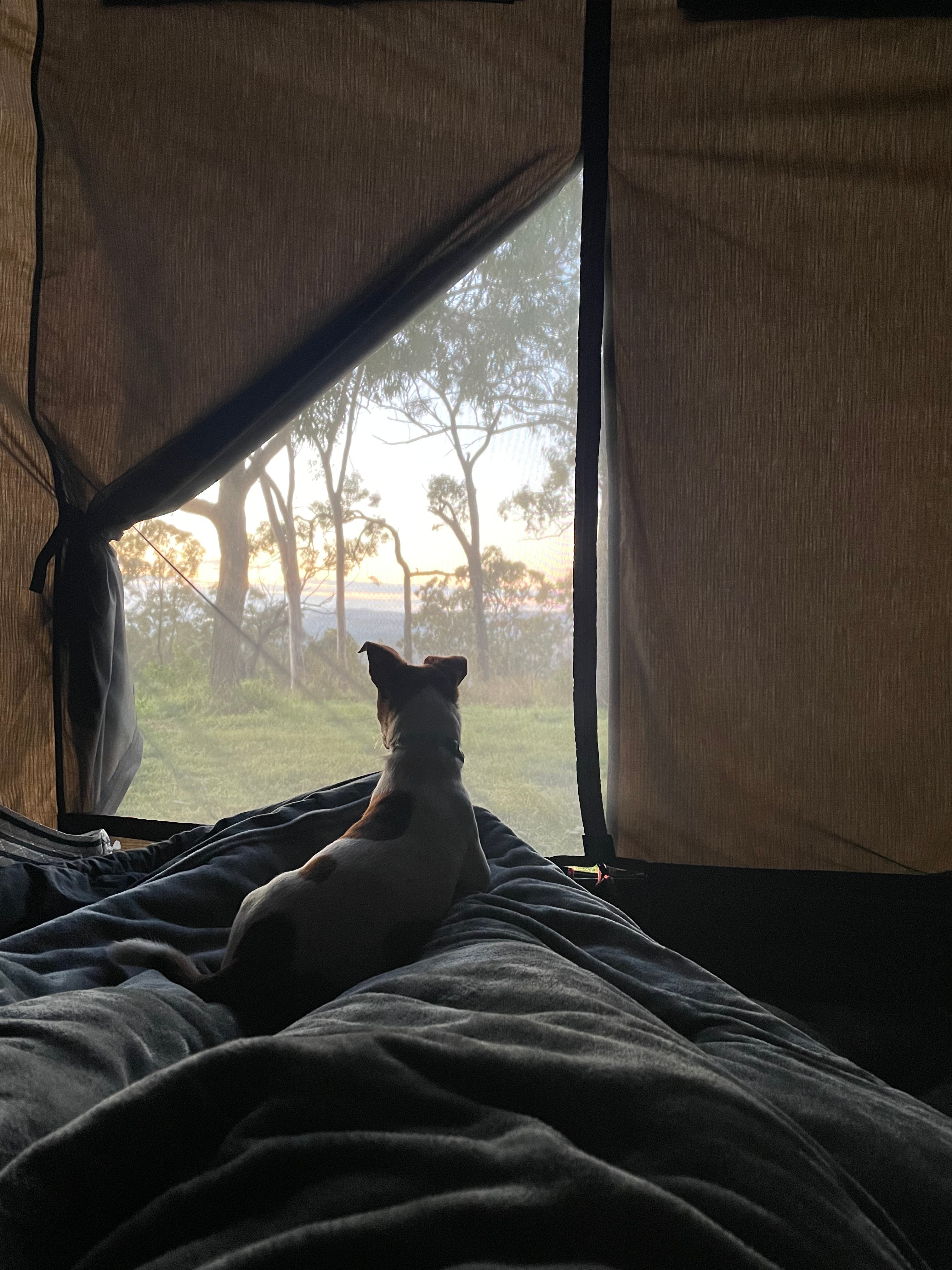 Anduramba Bush Camping