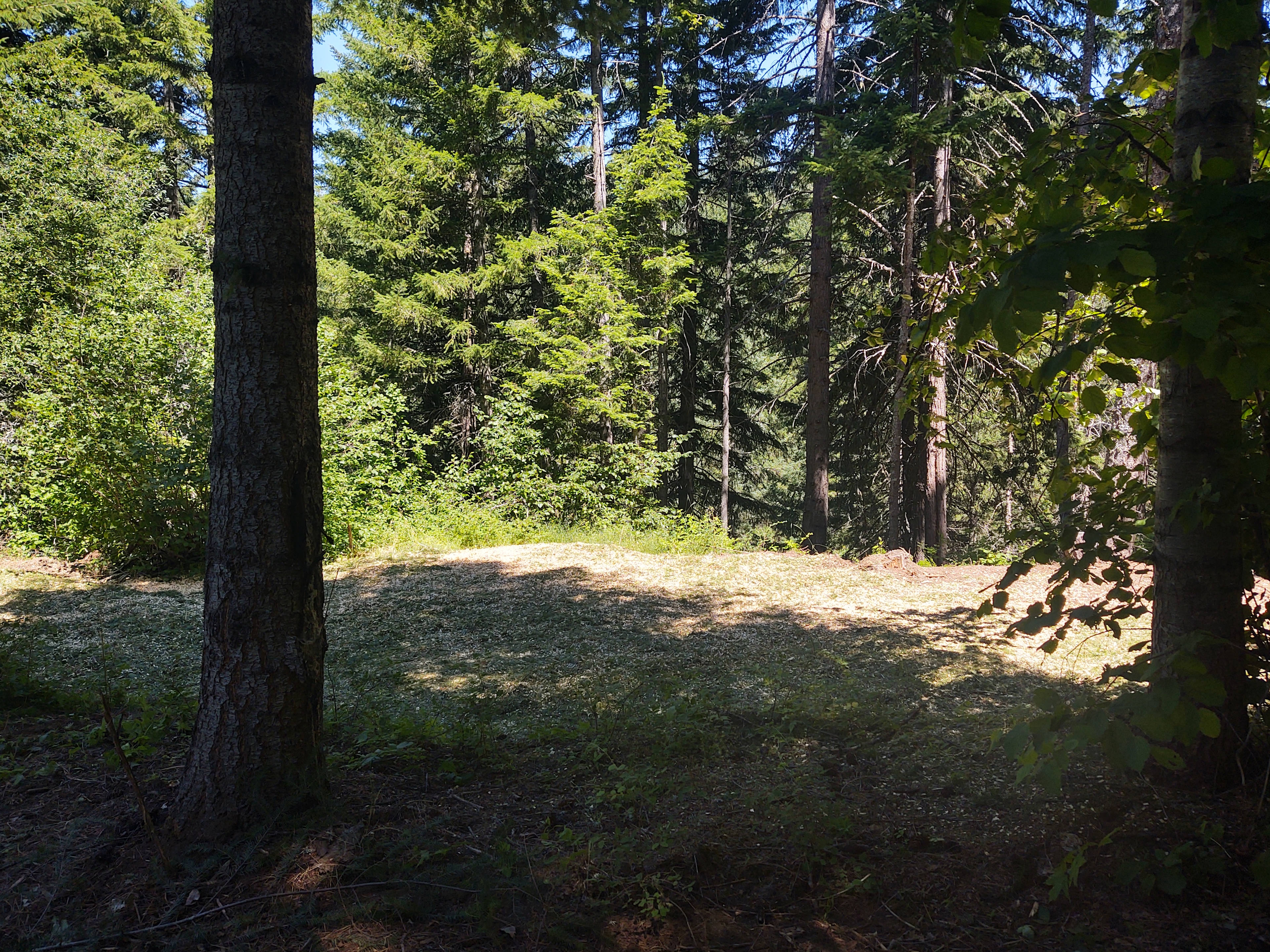 Eight Four Eight Camp