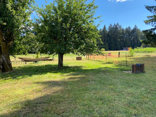 Play a game of Horseshoes or relax under the Apple trees in the Hammock