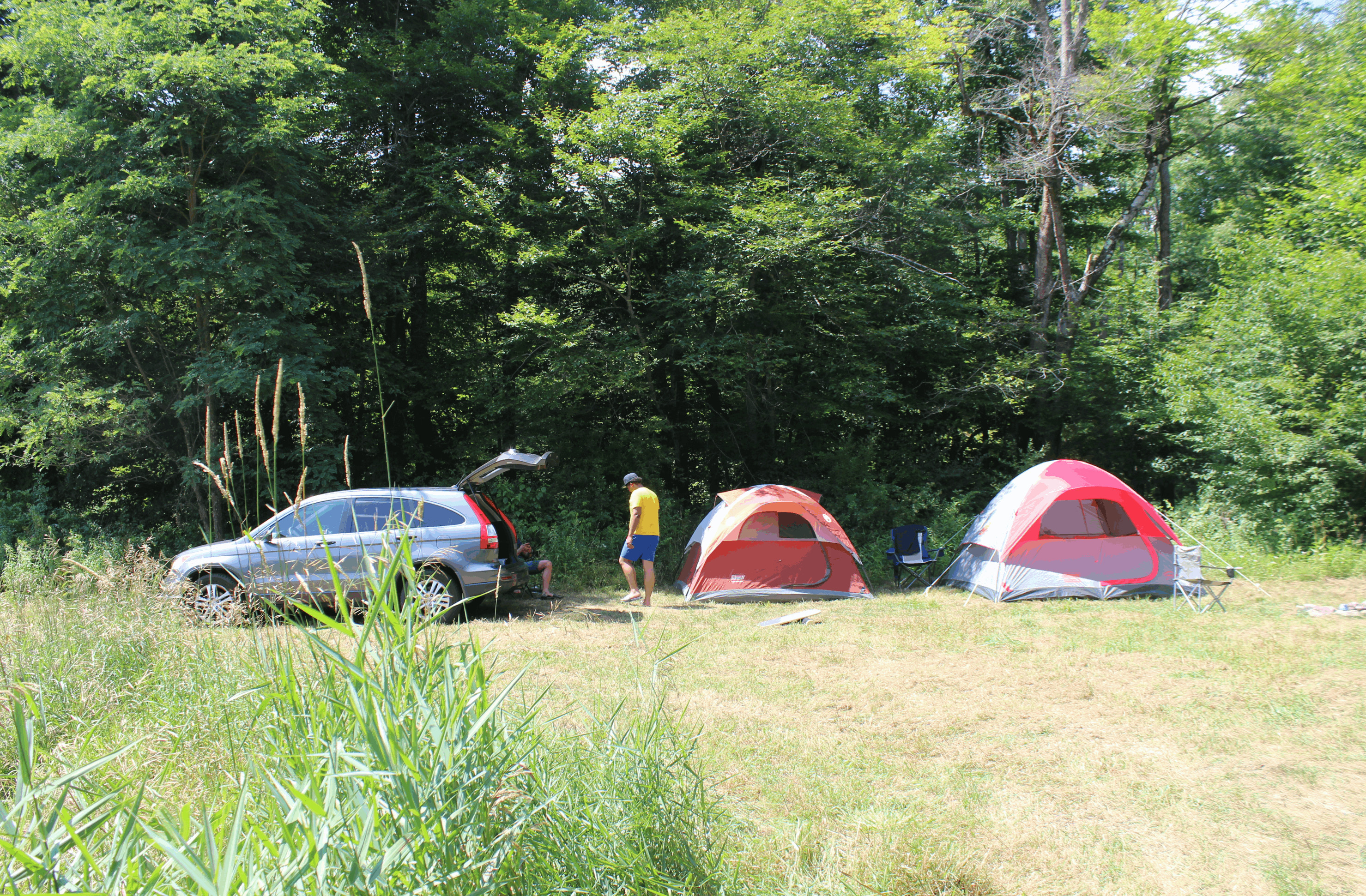 Camping along the Dyberry Creek