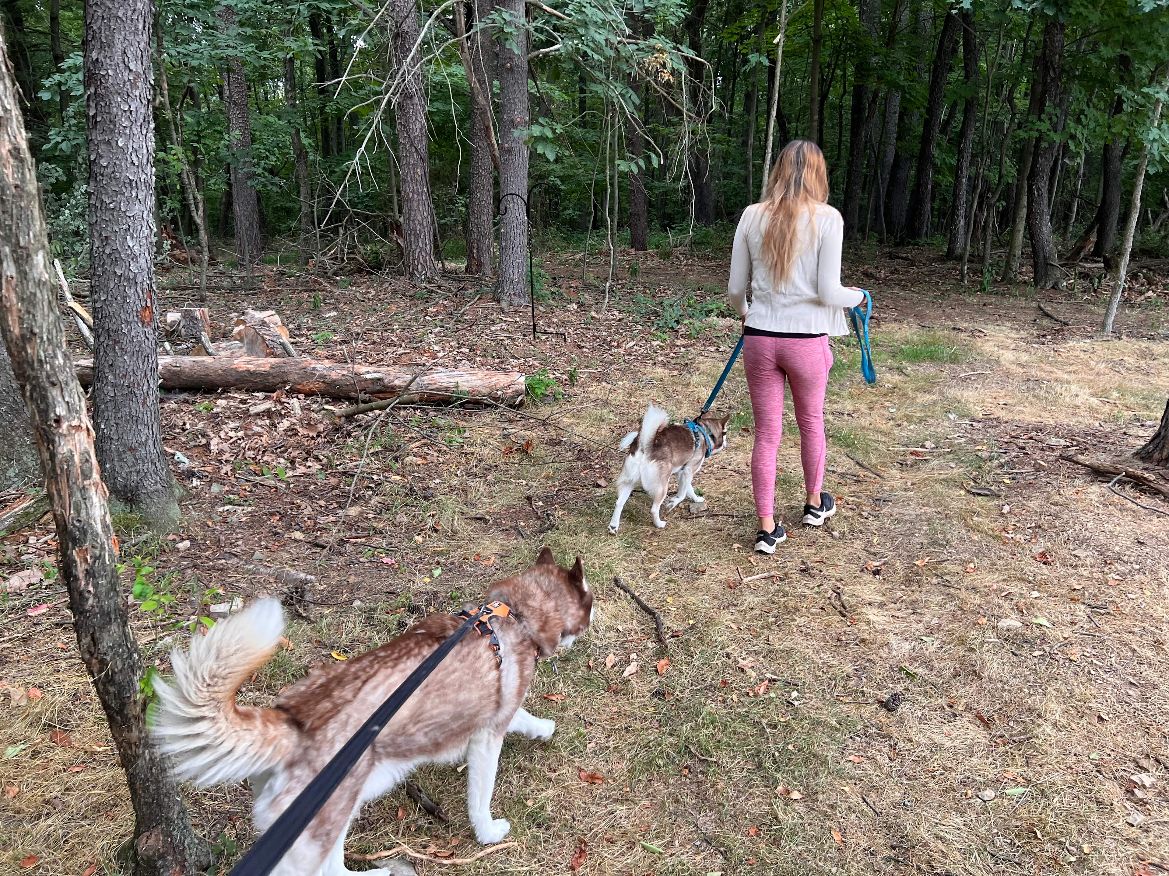 Us and our pups enjoyed ourselves!