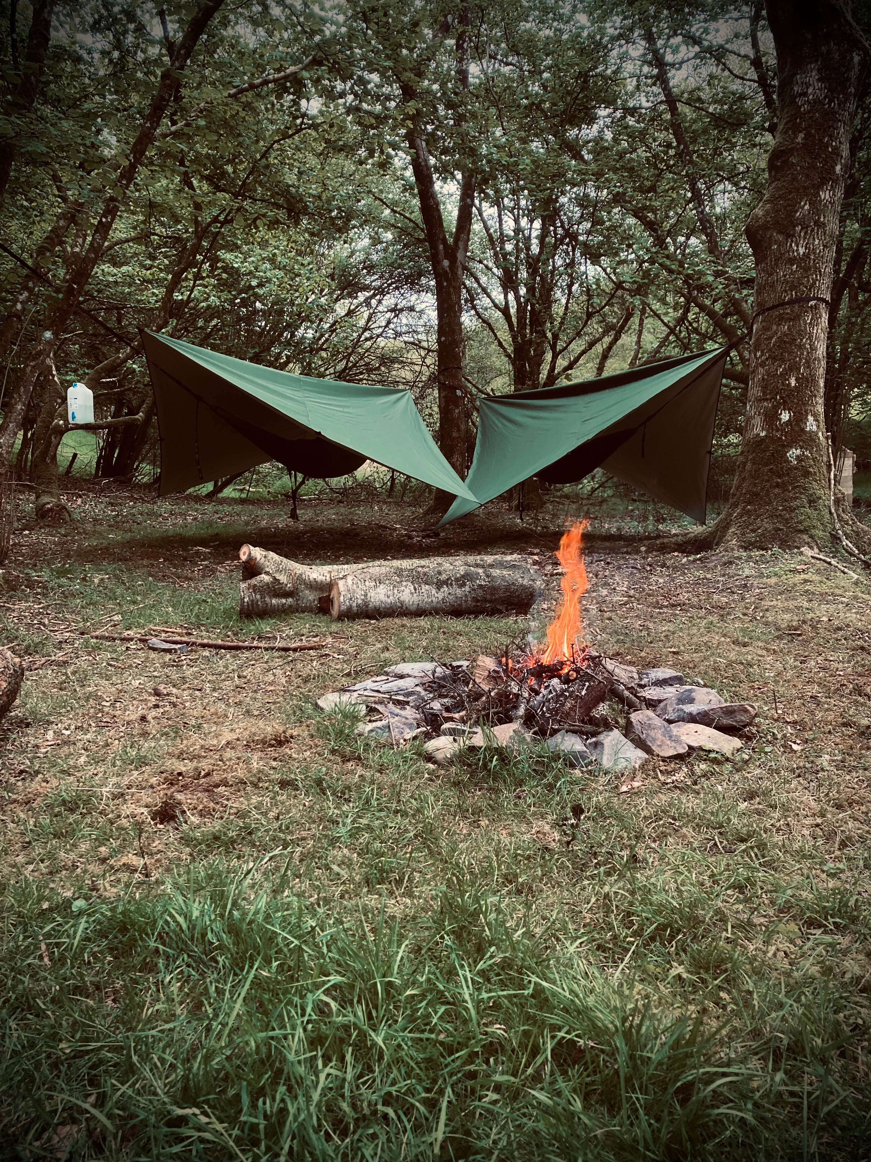 Wild Hammock Camping