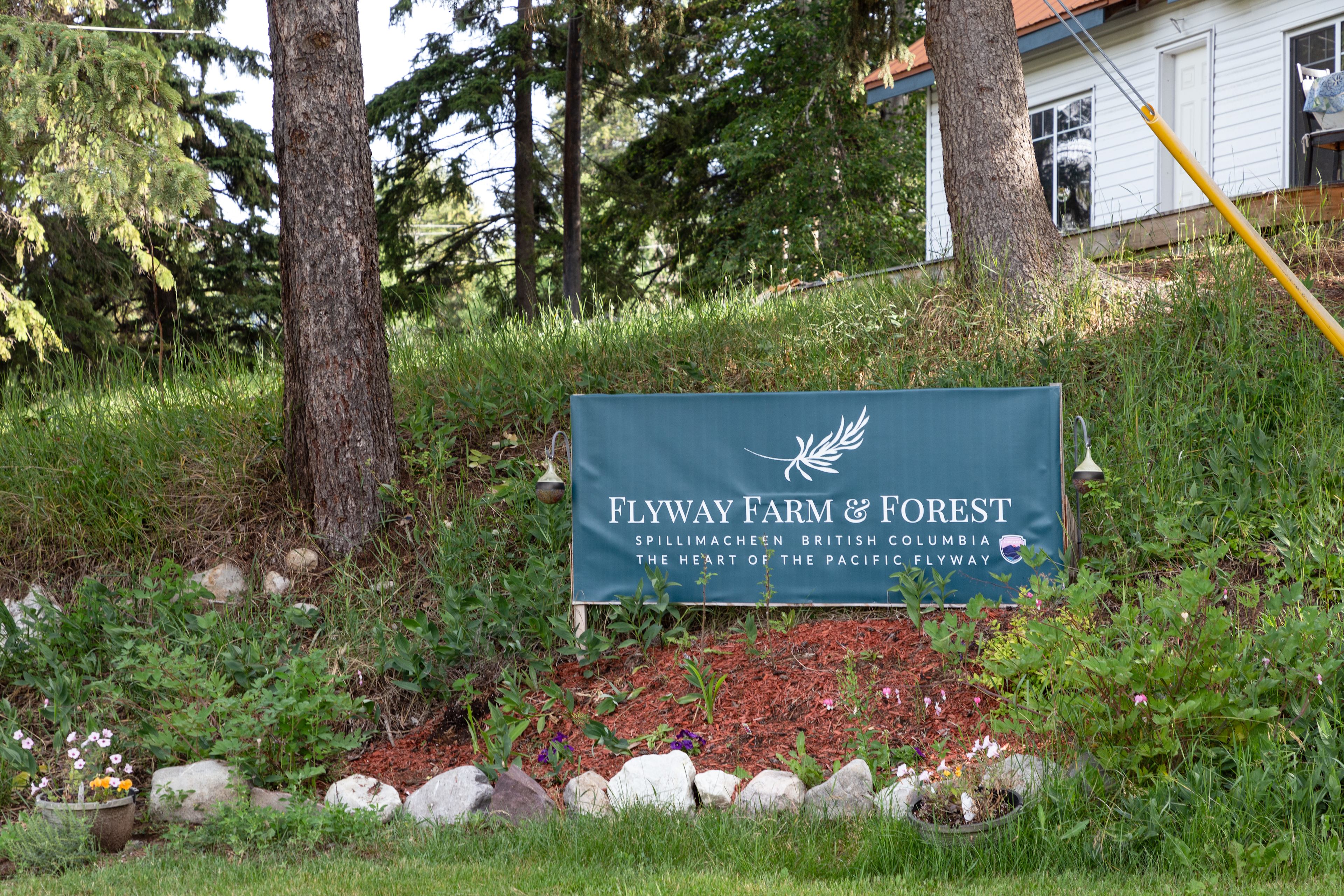 Welcome to Flyaway Farm & Forest