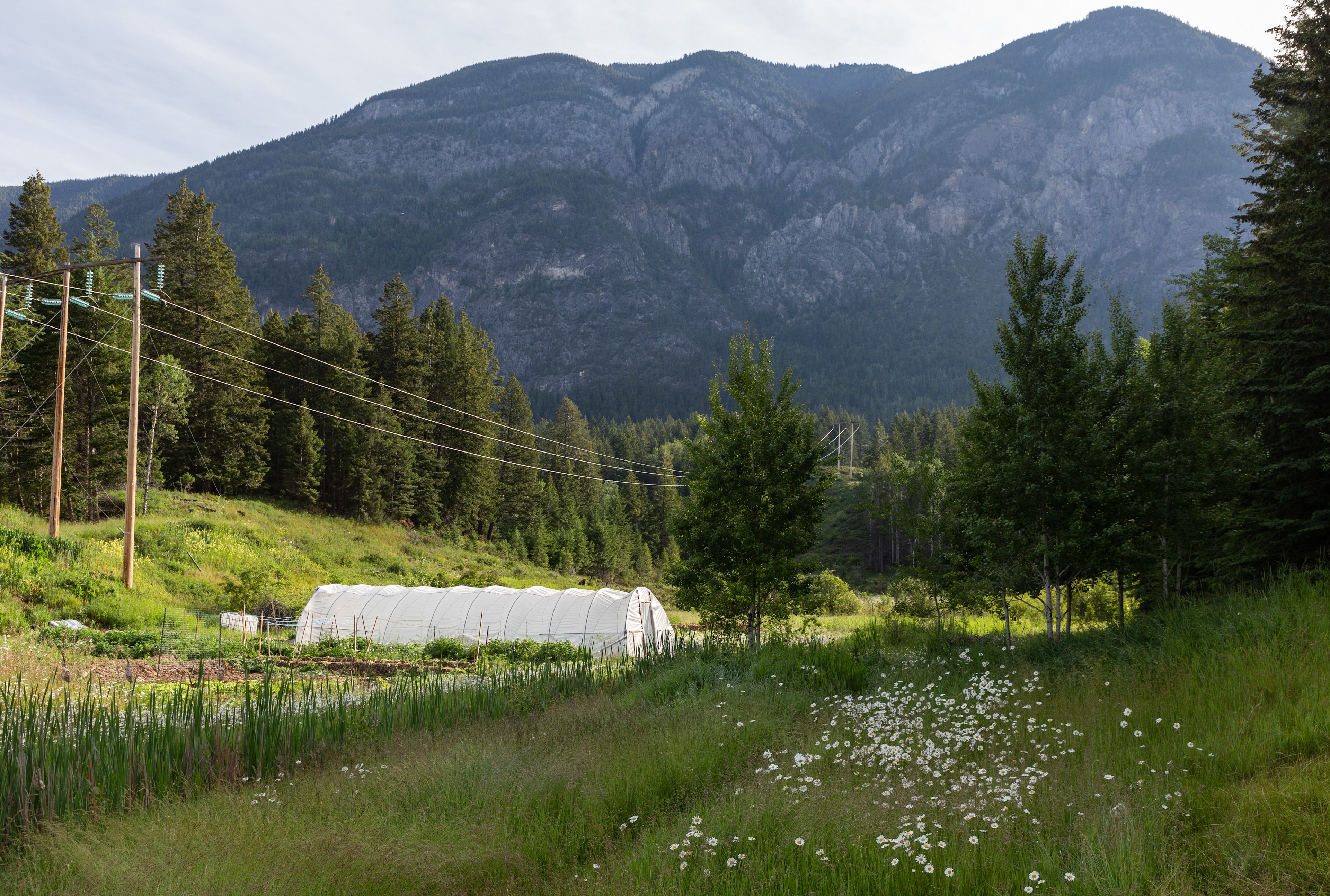 This farm sits at the base of an absolutely stunning vista!